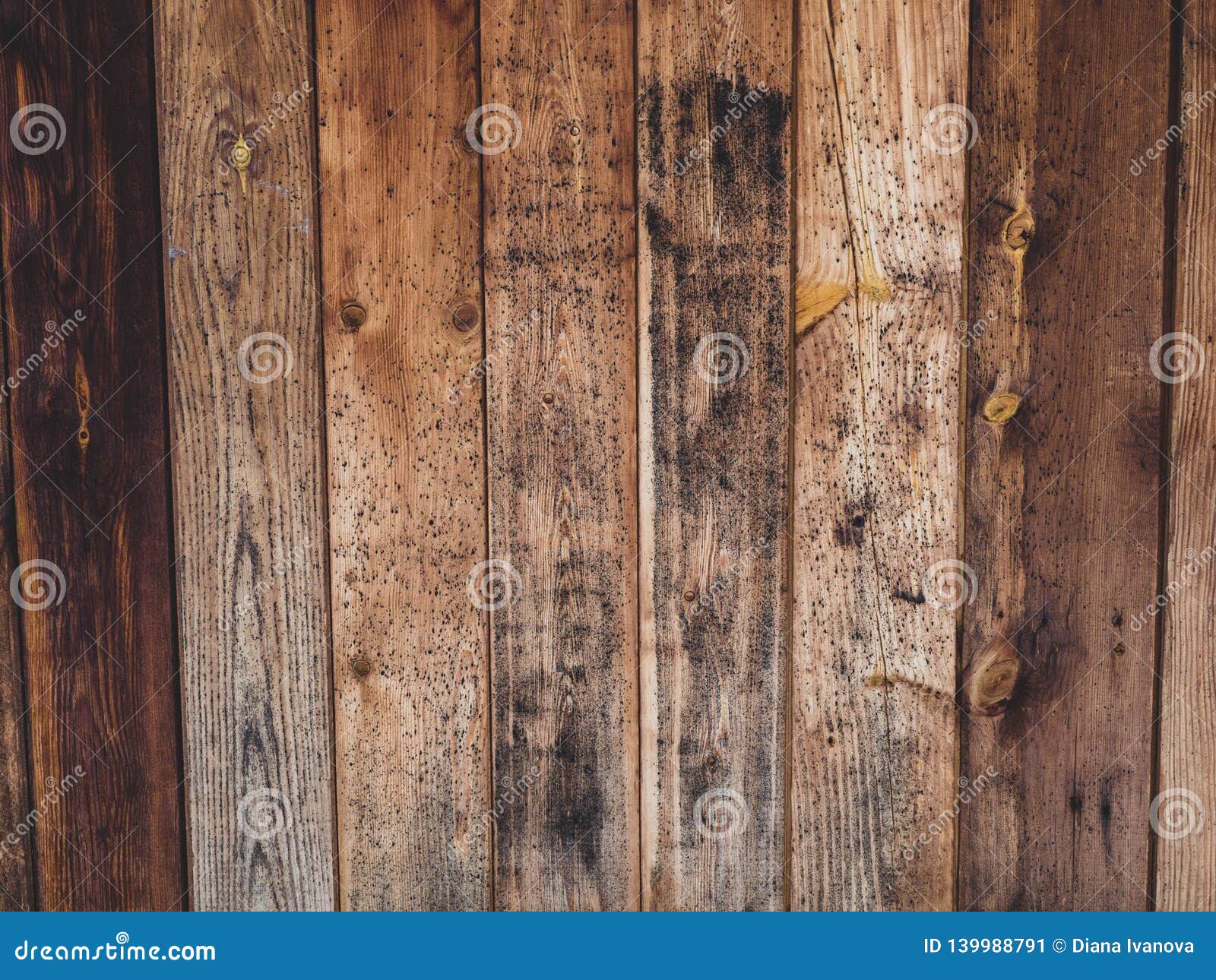 Old Wood Board With Some Mold Spots Stock Image Image Of Health