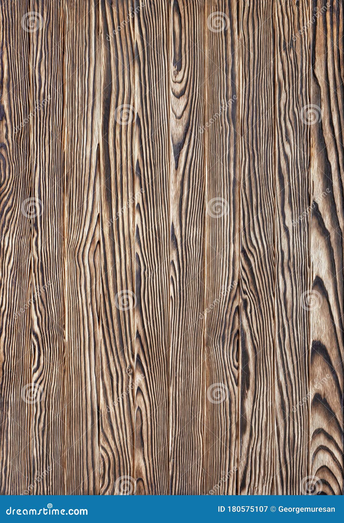 Old Wood Burned Plank Board of Pine Stock Image Image of dark, grunge 180575107