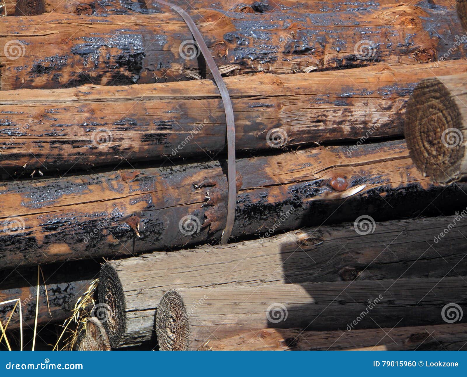 Old Wood Log Posts. stock photo. Image of grain, coated 79015960