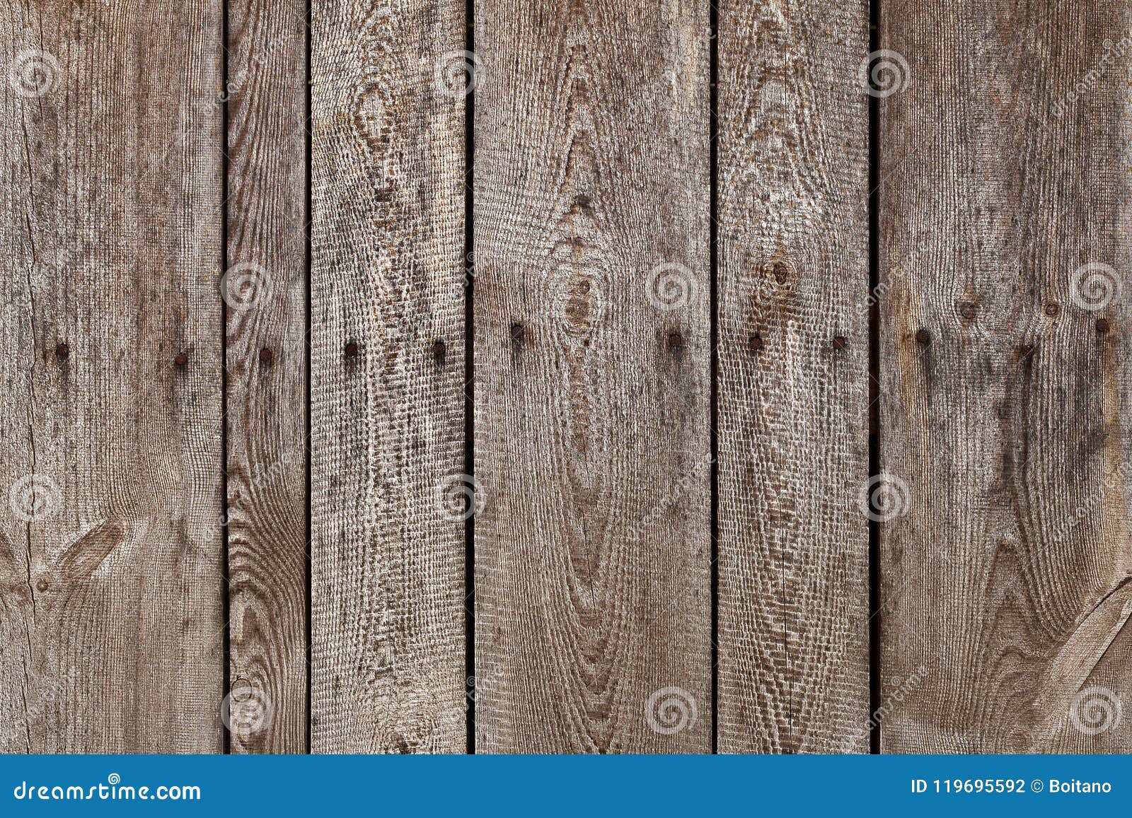 old wood plank with steel sinker nails texture background. the texture of old wood. vertical wooden planks.