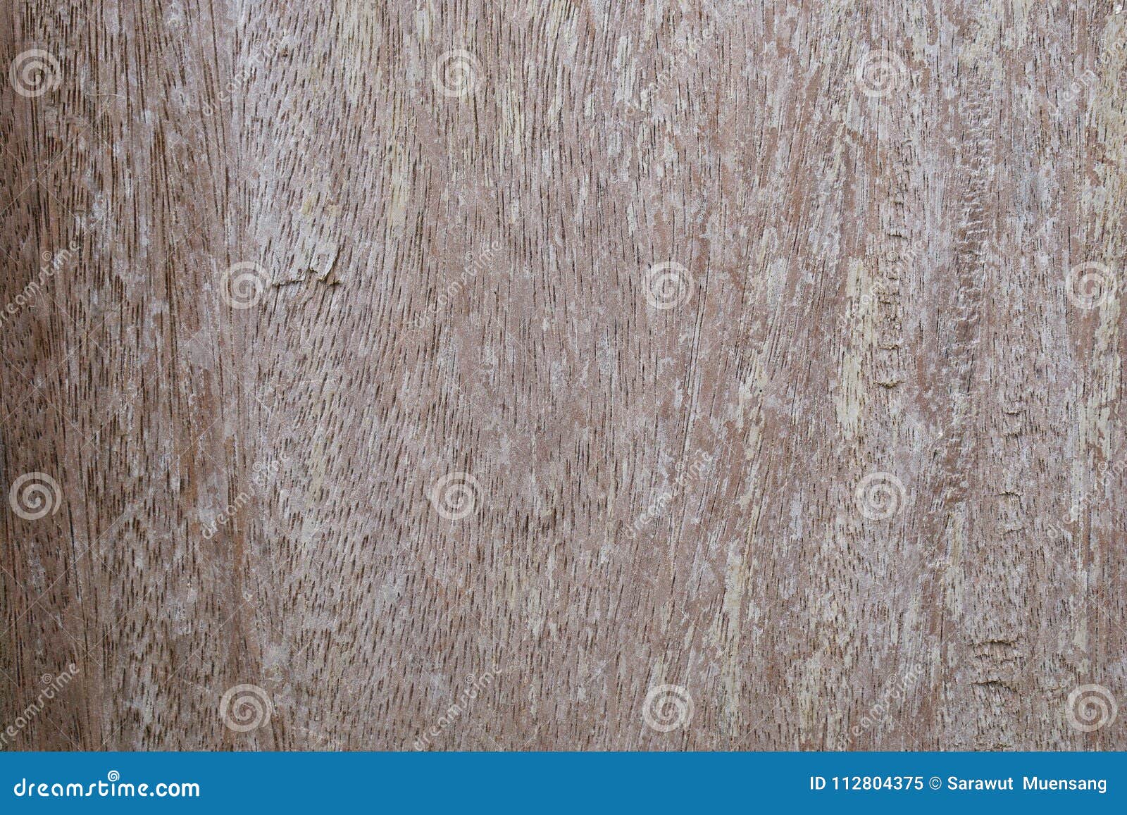 8K Wood Texture. Roughness Map. Hi-res Texture Image For PBR Material ...