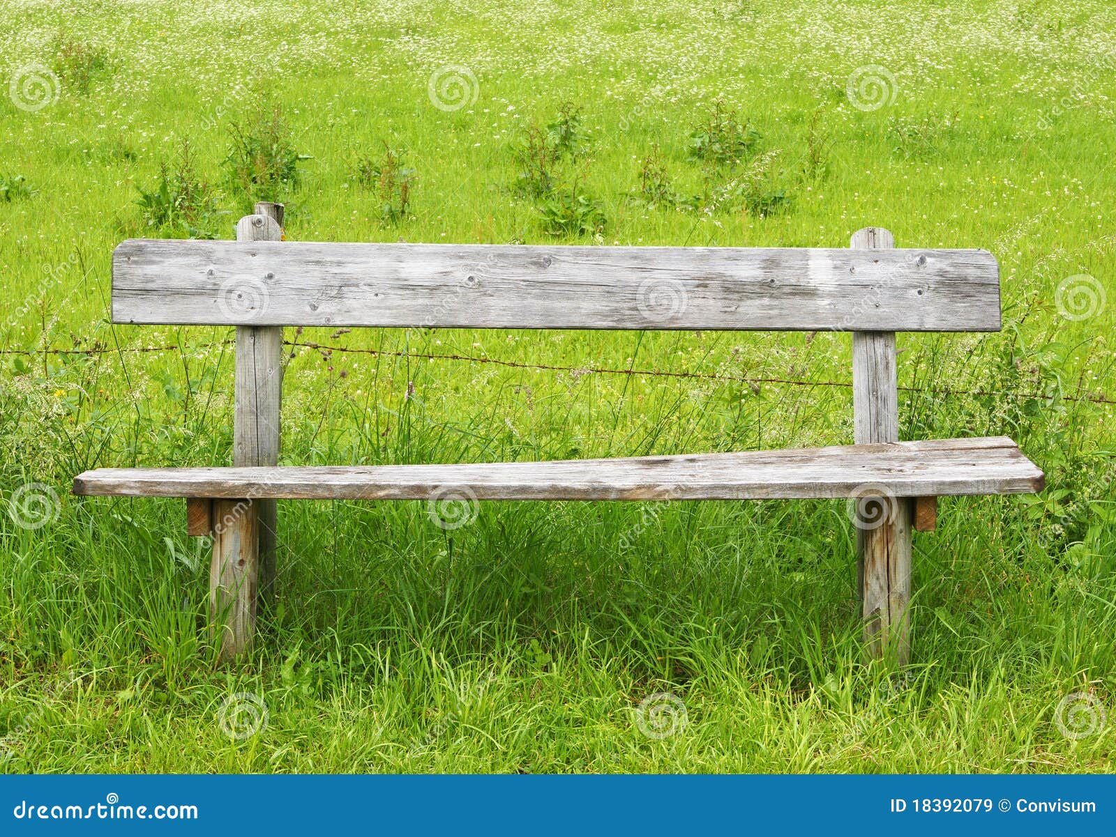 cast iron wood slatted bench garden shade.cr2 stock image