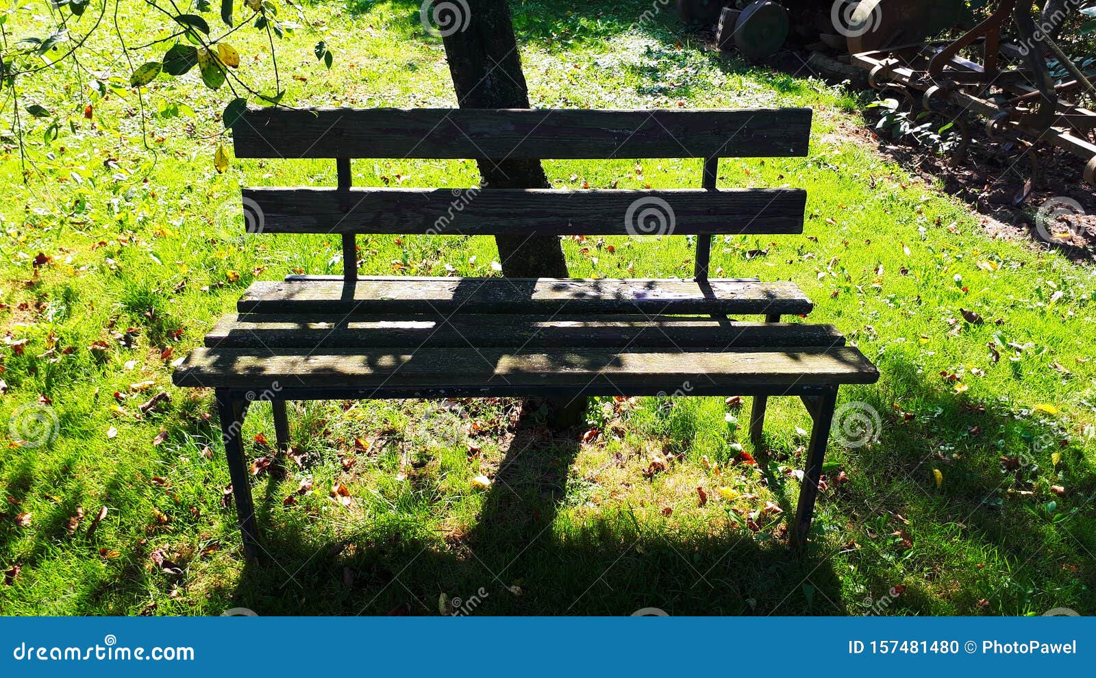 Old wooden bench in garden stock photo. Image of scene 157481480