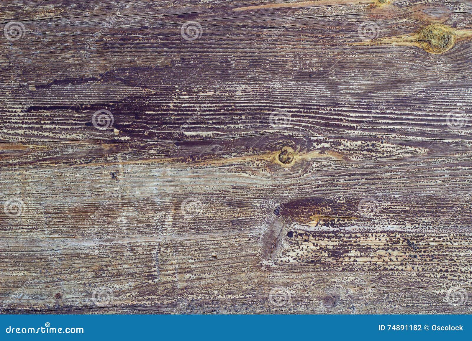 Old Wooden Board Background Stock Photo Image of wooden, board 74891182