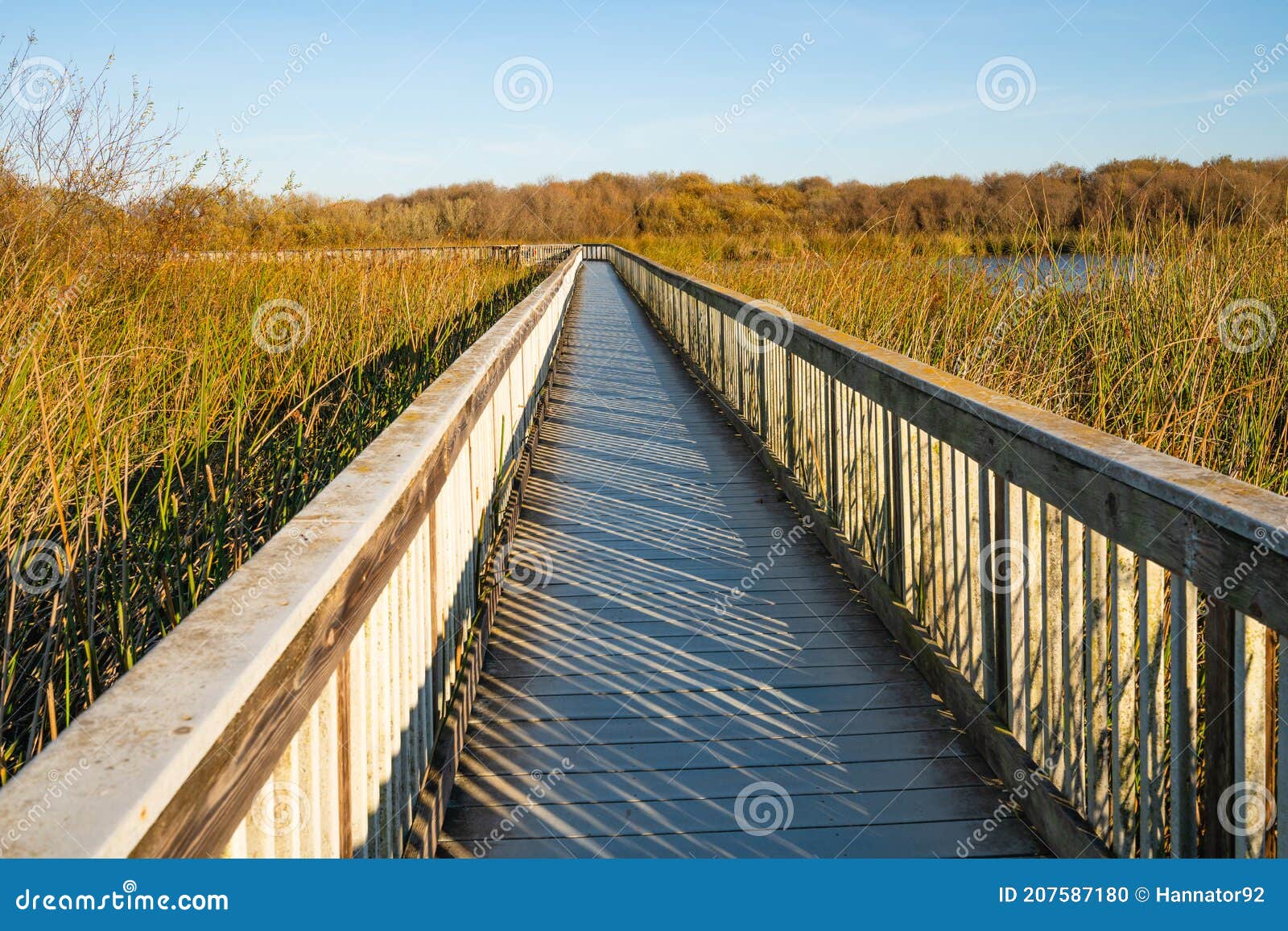 an old wooden boardwalk through the lake, oso flaco lake recreation area, ca