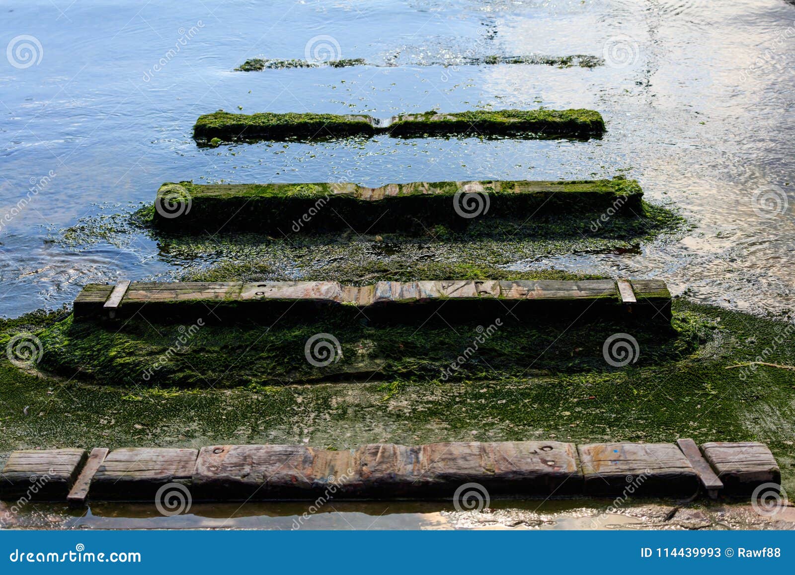Old Wooden Boat Ramp with Moss Leading To the Sea Stock Image - Image of  launch, outdoors: 114439993