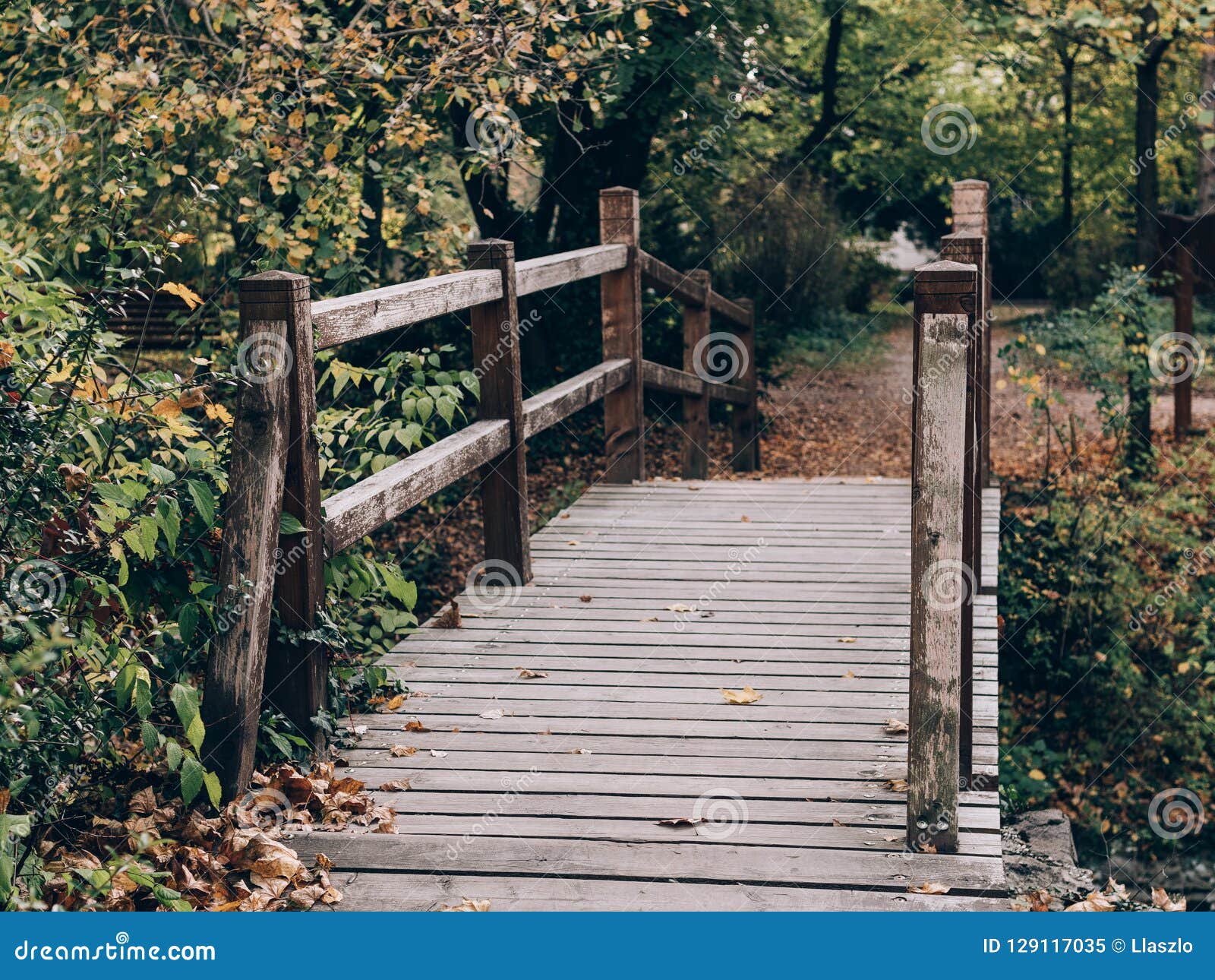 Old Wooden Bridge in Deep Forest, Natural Vintage Background. Stock Image -  Image of wood, natural: 129117035