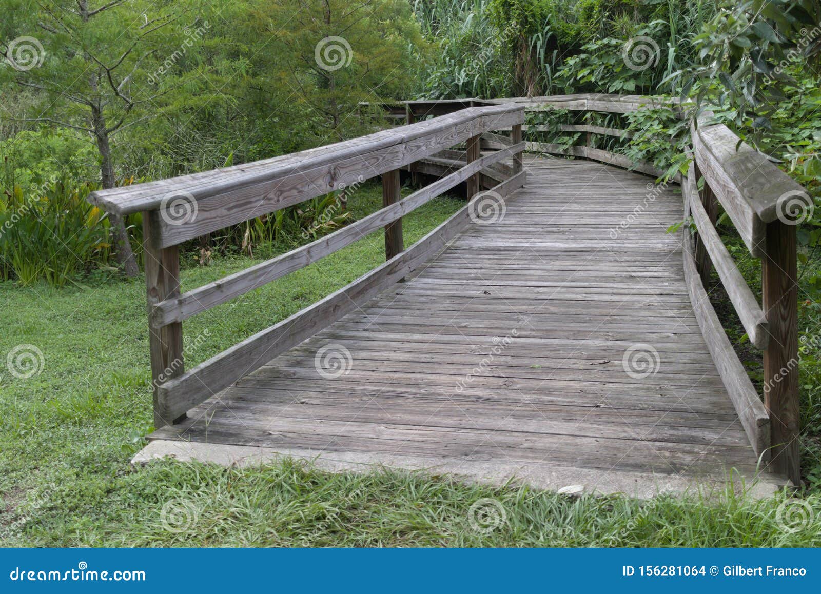 An Old Wooden Bridge In Mead Botanical Garden Stock Photo Image