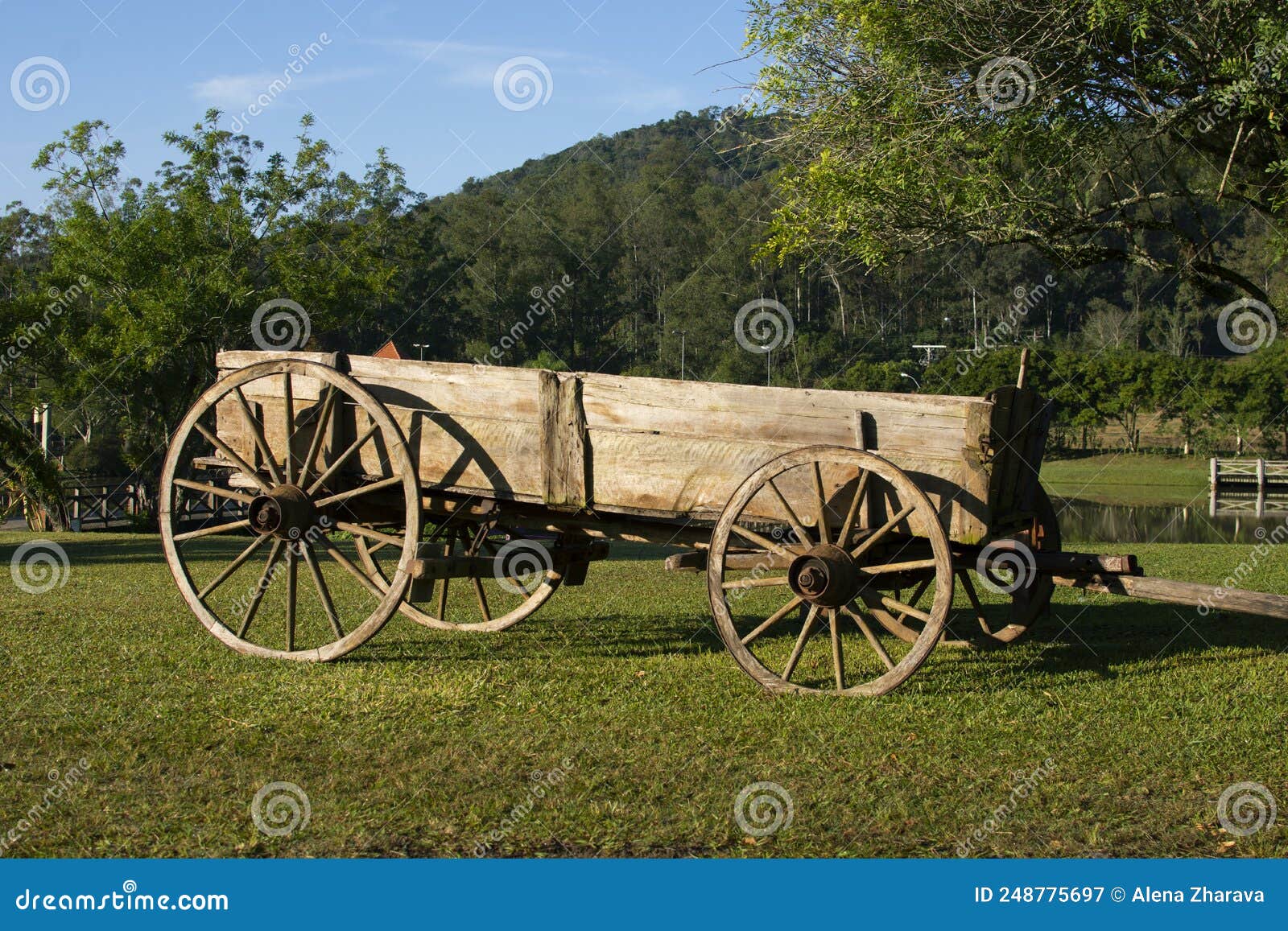an old wooden cart on a fazenda in brazil. wooden cart