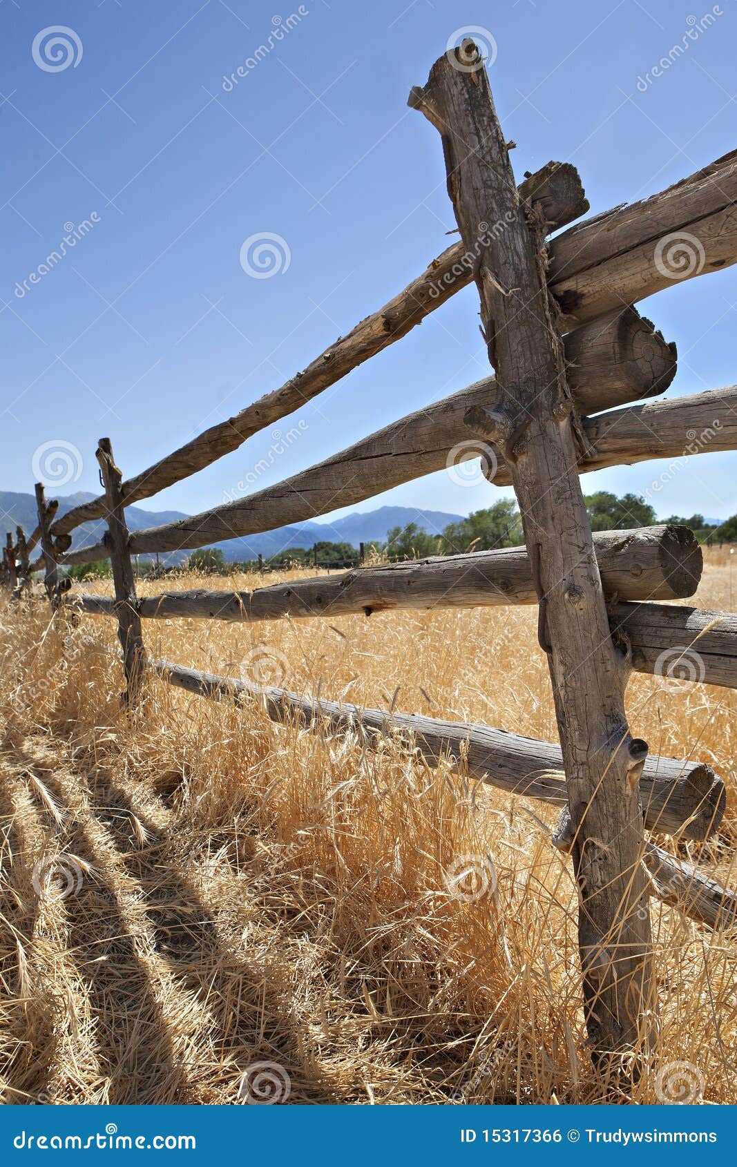 Old Wooden Fence in the American West Stock Photo Image of wheat