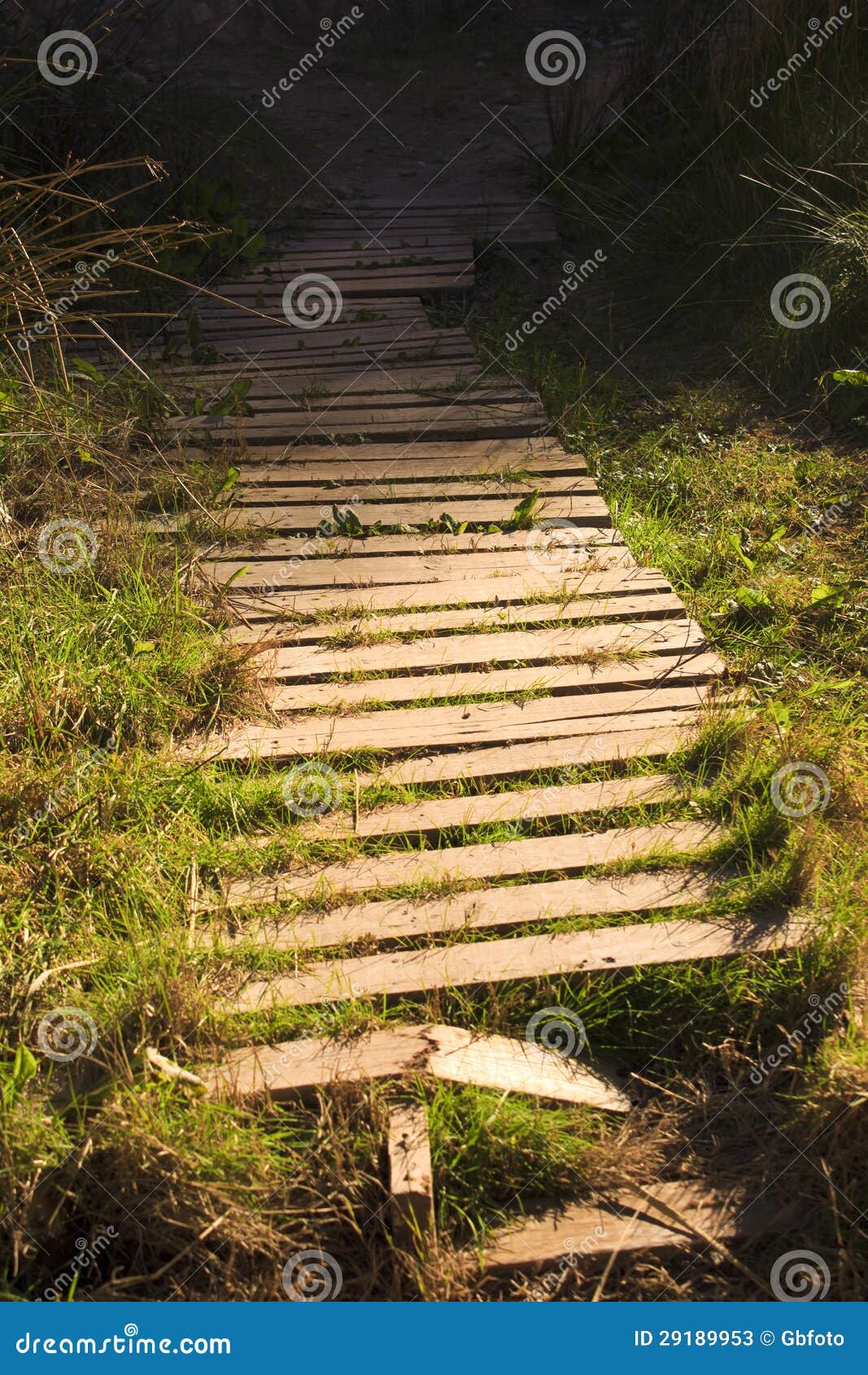 old wooden garden pathway 29189953
