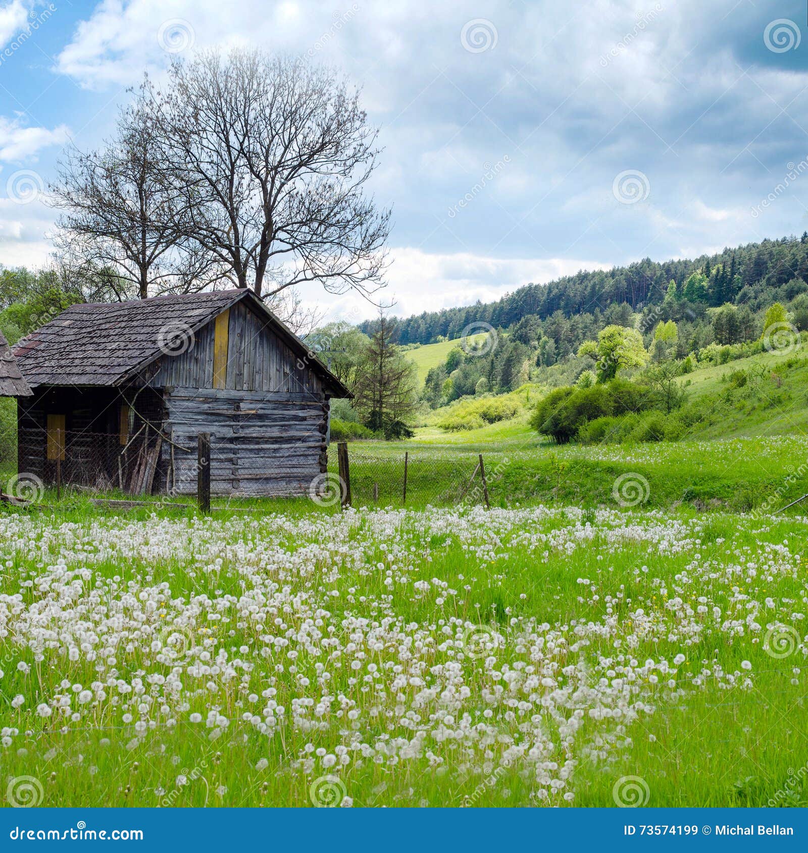 Old Wooden House in Meadow. Rural Landscape. Stock Image - Image of ...