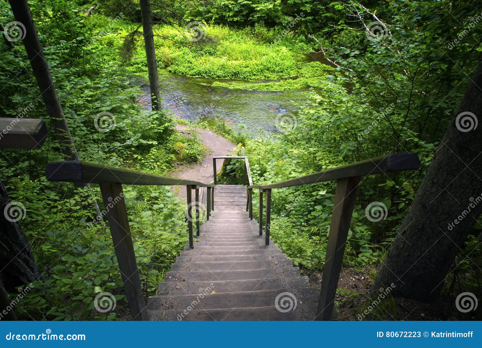 old wooden ladder.