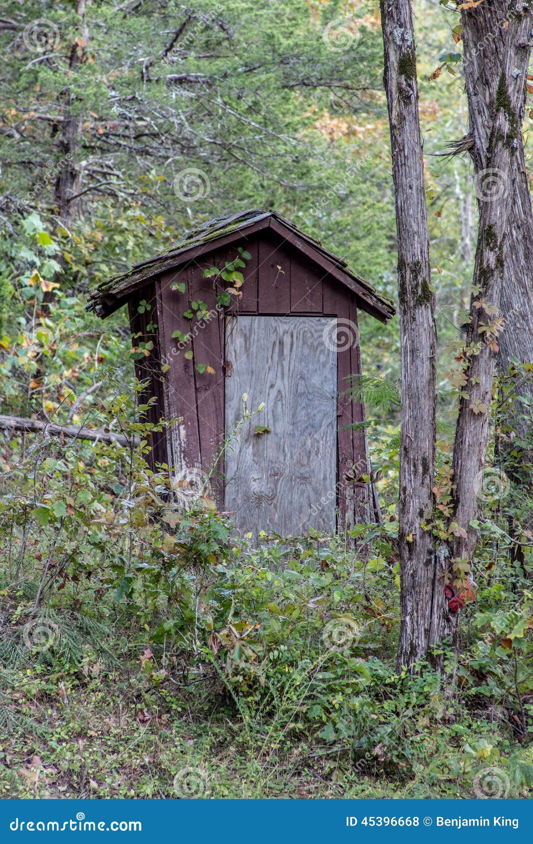 Old wooden outhouse stock photo. Image of wood, brown 