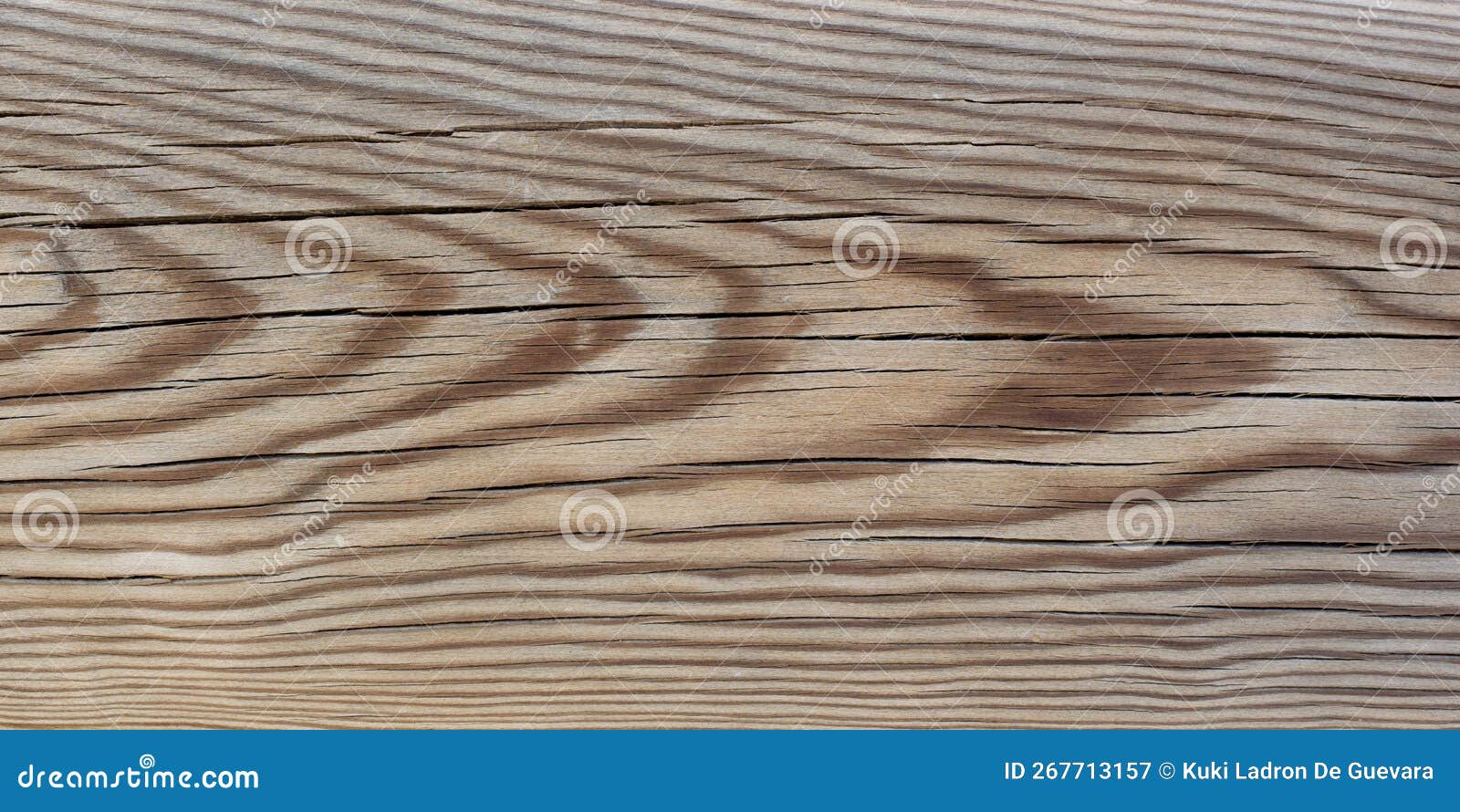 old wooden plank, background texture