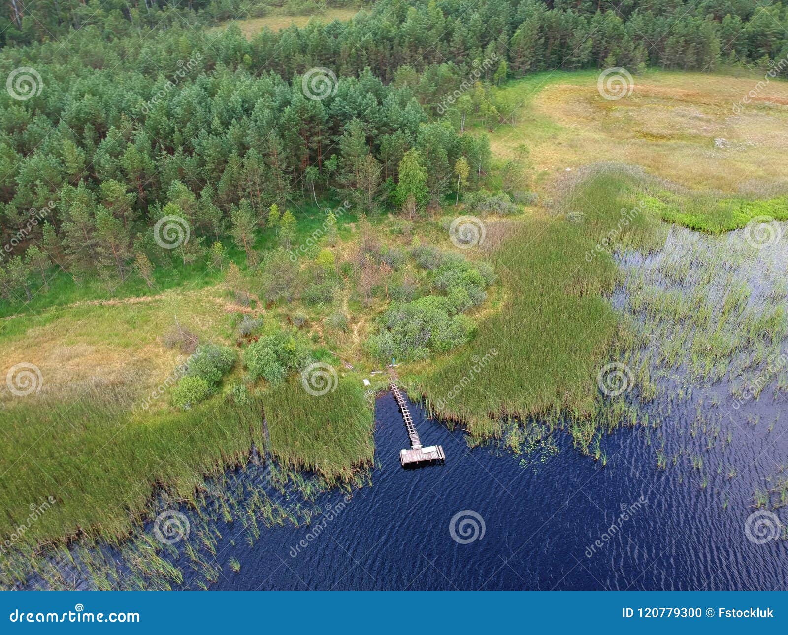 old wooden platform on calm lakem forest and reed, aerial view