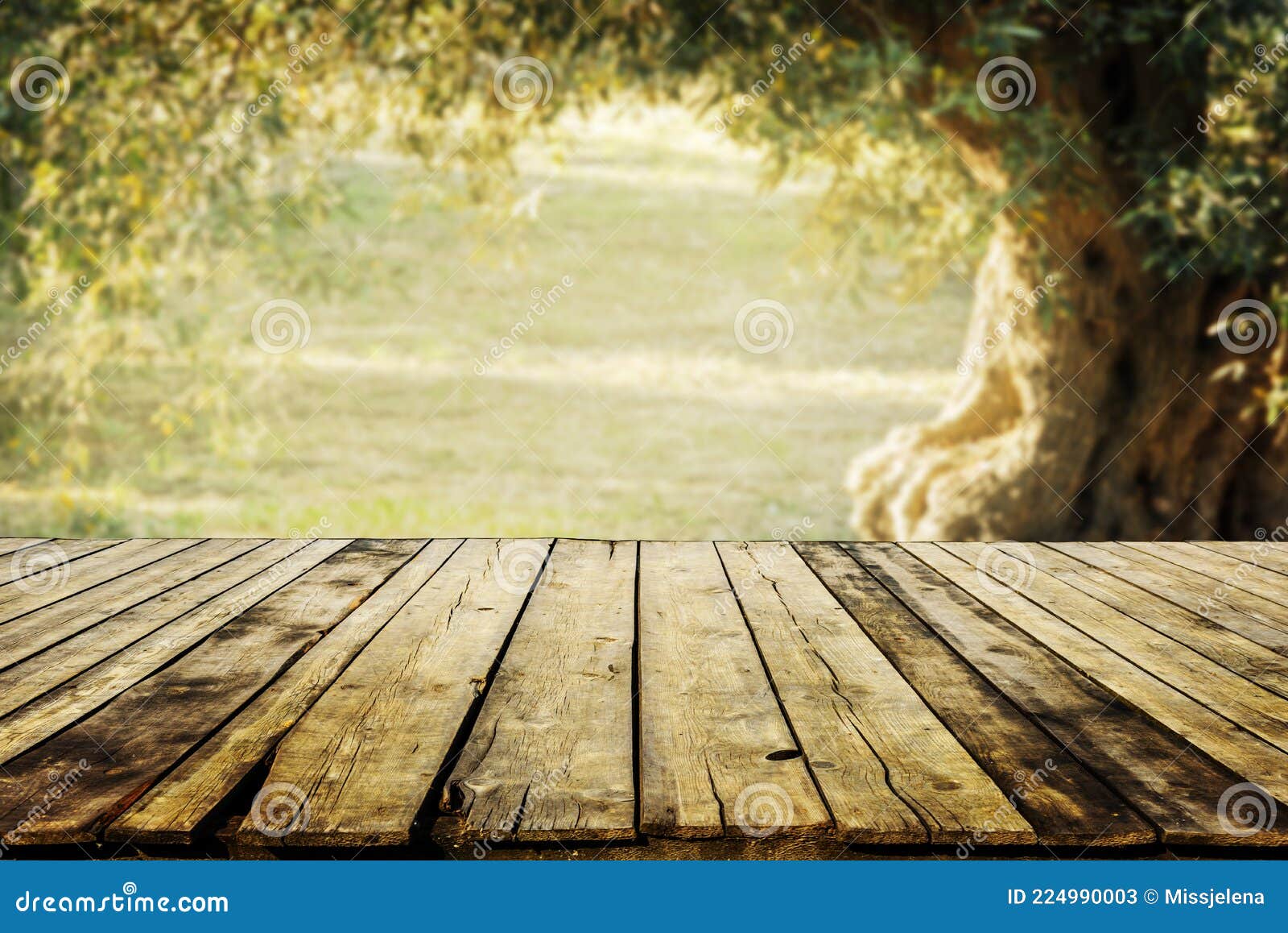 old wooden table  for product display with natural green olive field bokeh background. natural vintage tabletop persepective and