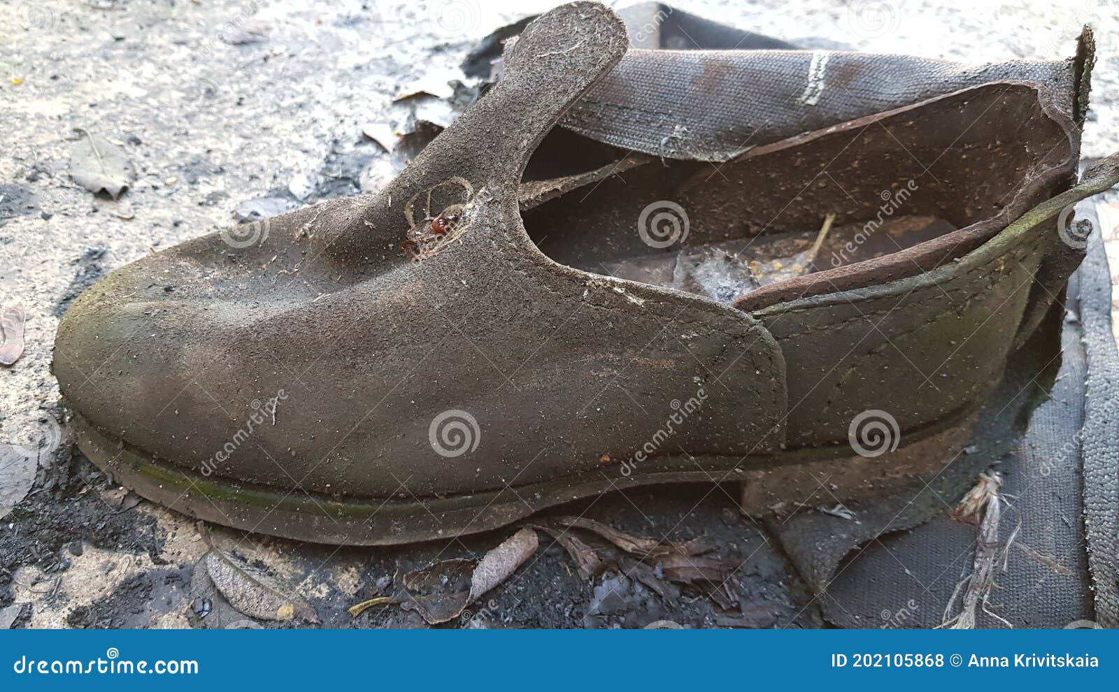 Old Worn Discarded Leather Boot Stock Photo - Image of footgear, frayed ...