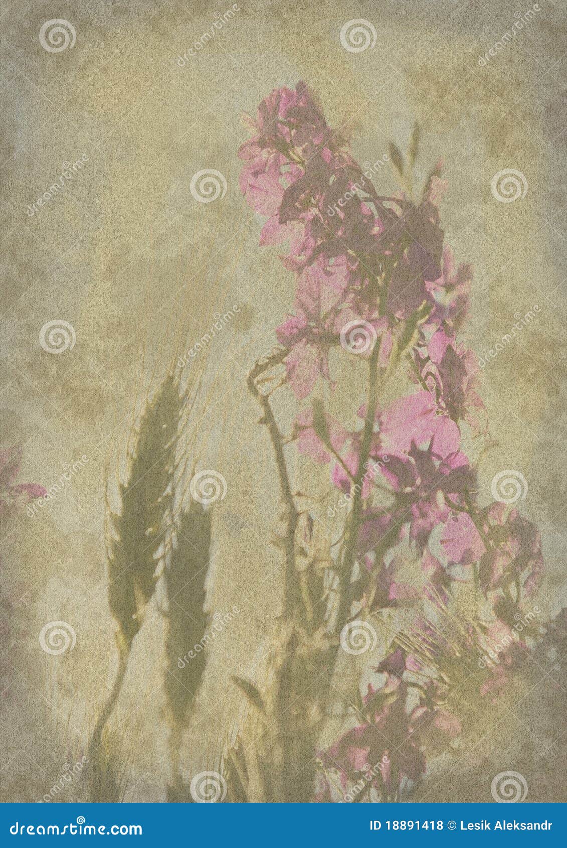old and worn flower paper texture background stock photo flower paper texture