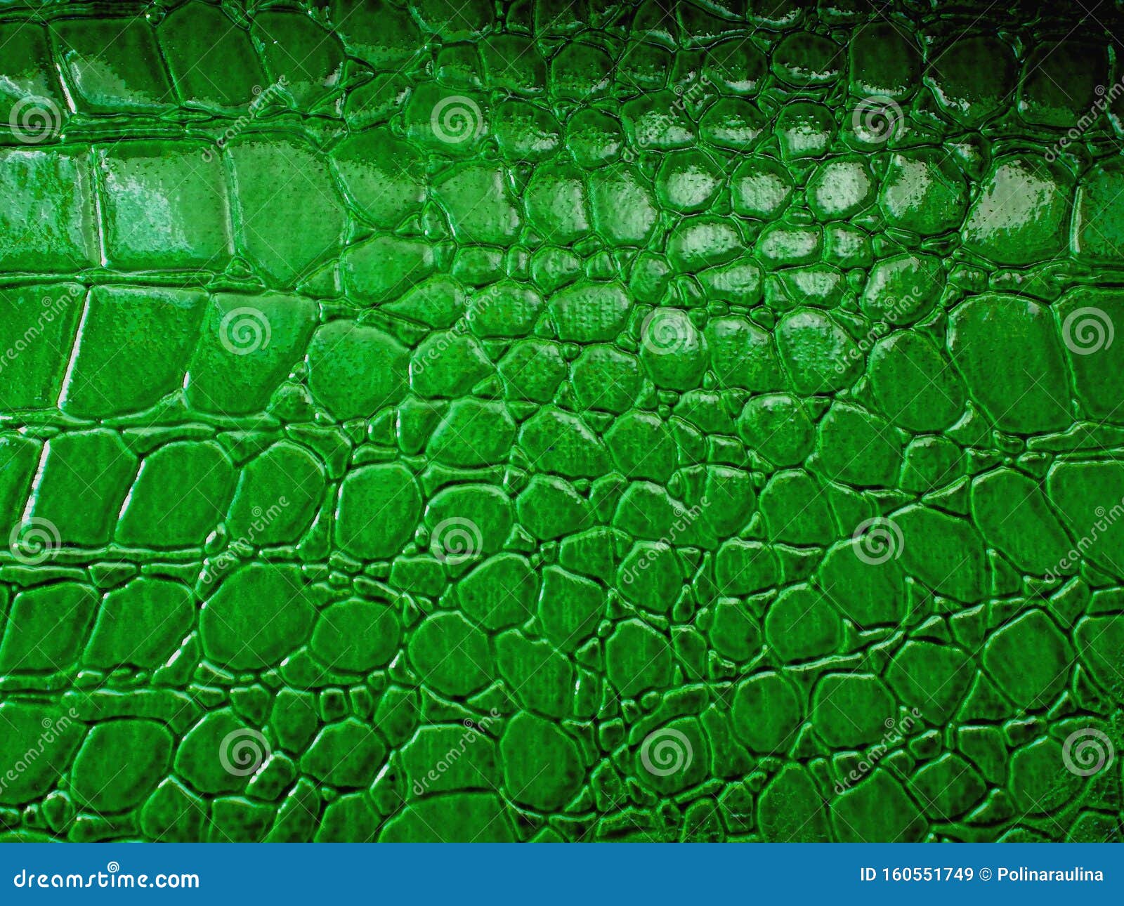 Crocodile skin pattern. stock image. Image of creative - 160551749