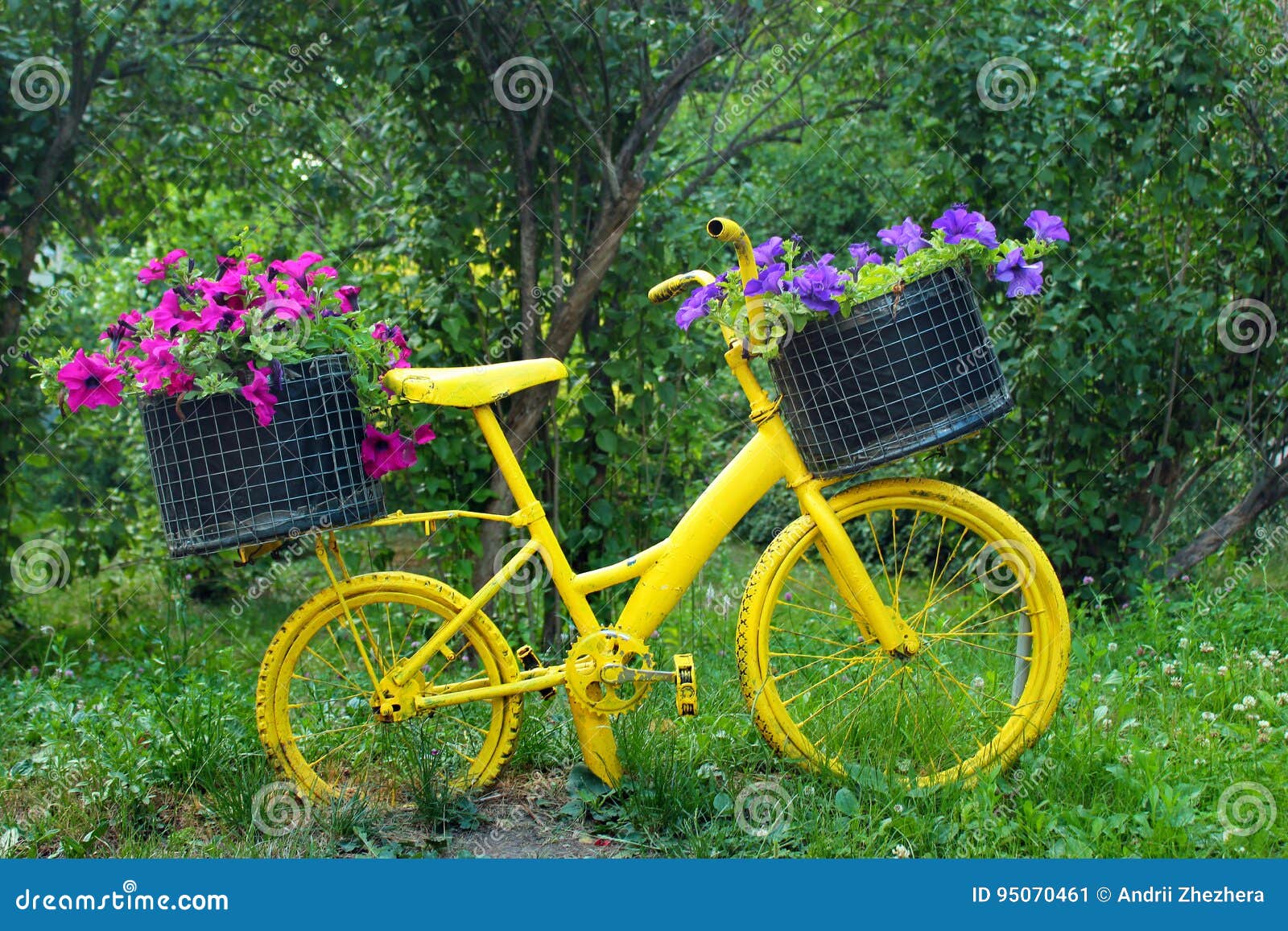 Old Yellow Bicycle with Baskets of Flowers Stock Image Image of