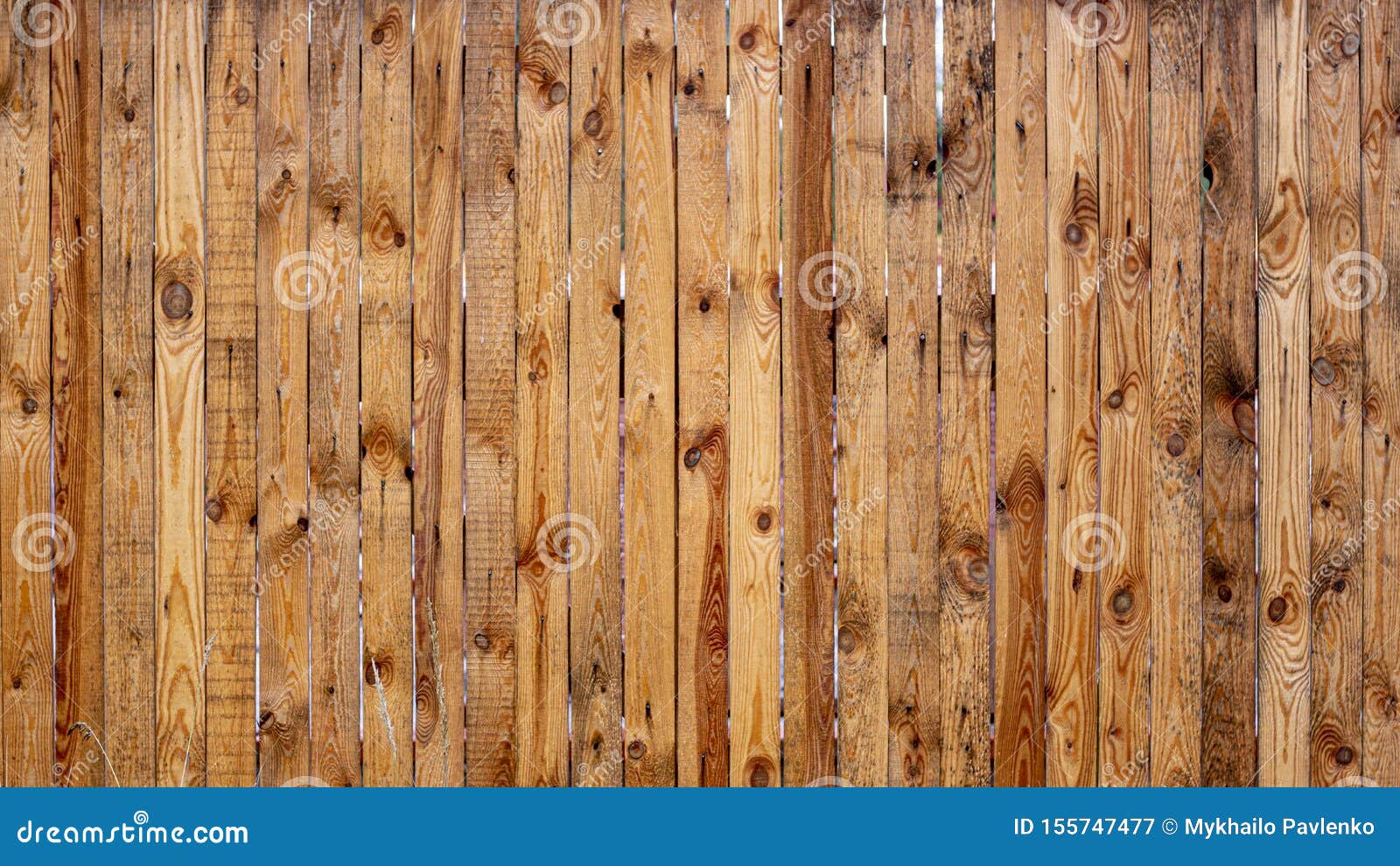 Old Yellow Pine Wood Texture Floor Surface Background Stock Image