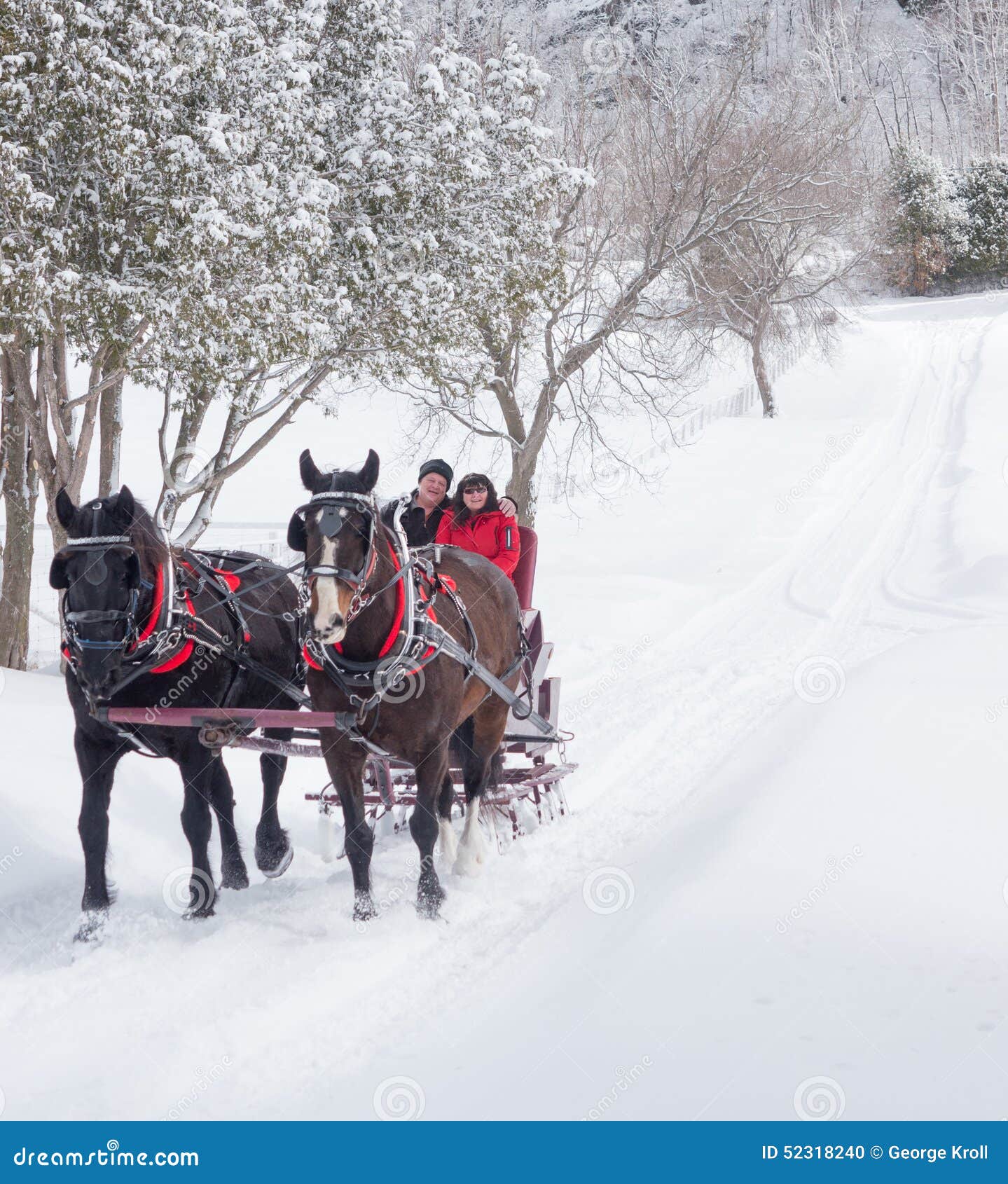 an older couple on a sleigh ride