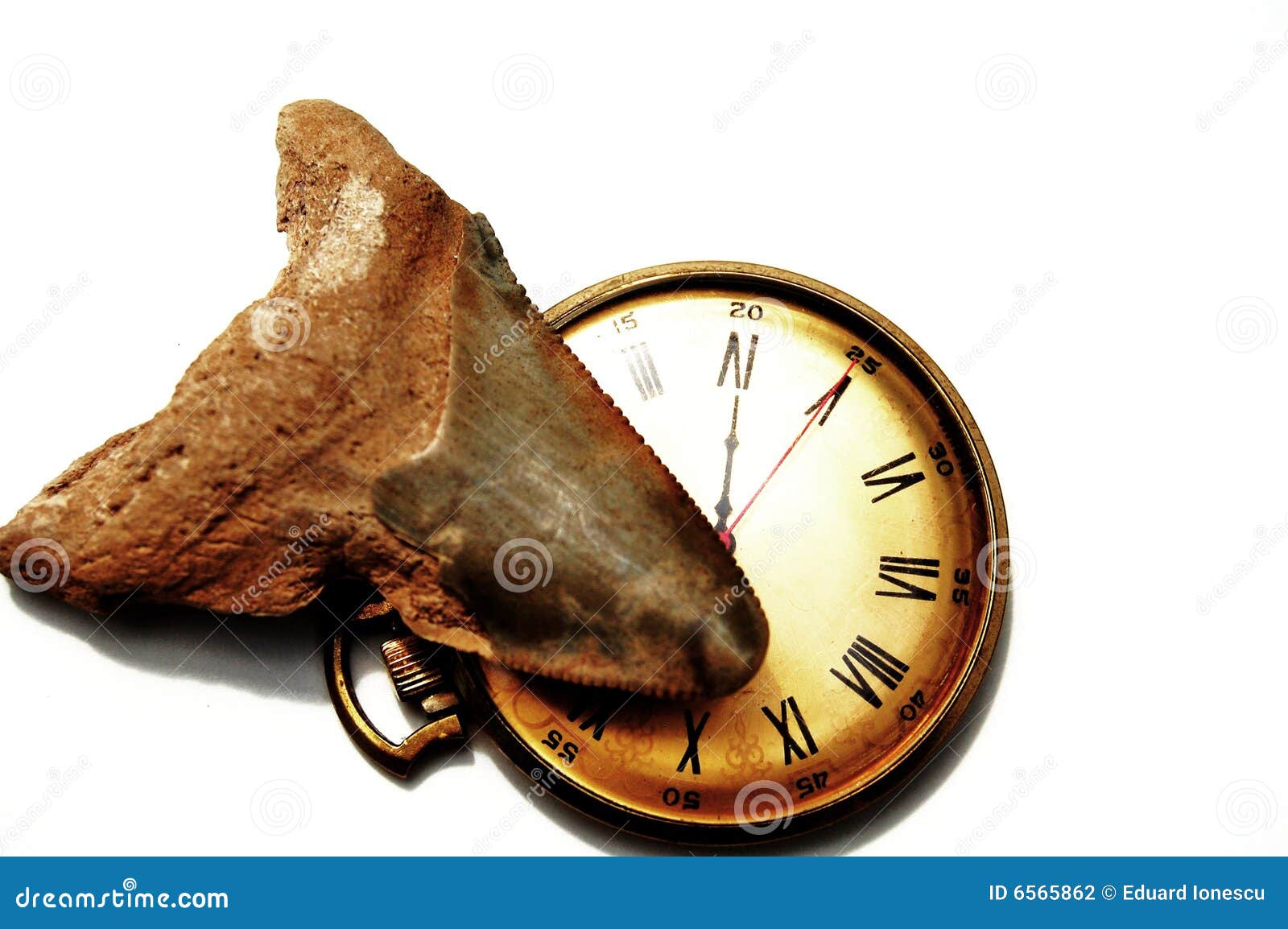 Numbers Prehistoric Stock Photos Free Royalty Free Stock Photos Numbers Prehistoric Stock Photos Free Royalty Free Stock Photos