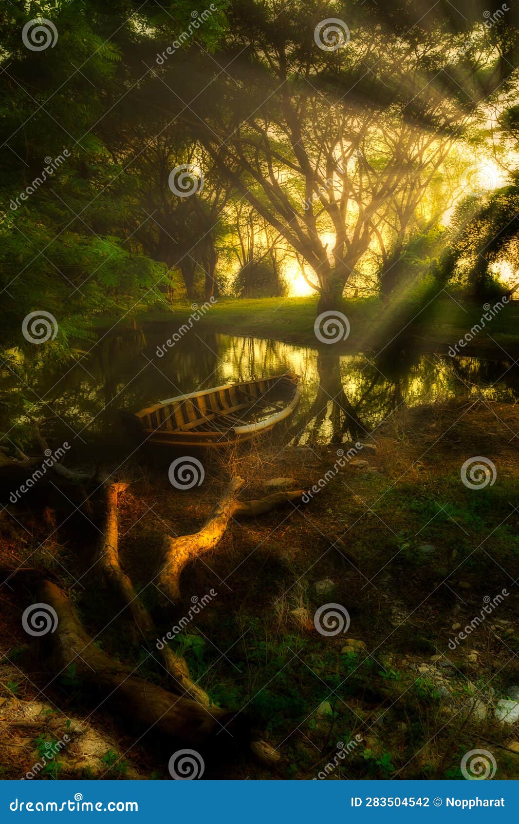 olds fishing boat in the dark forest