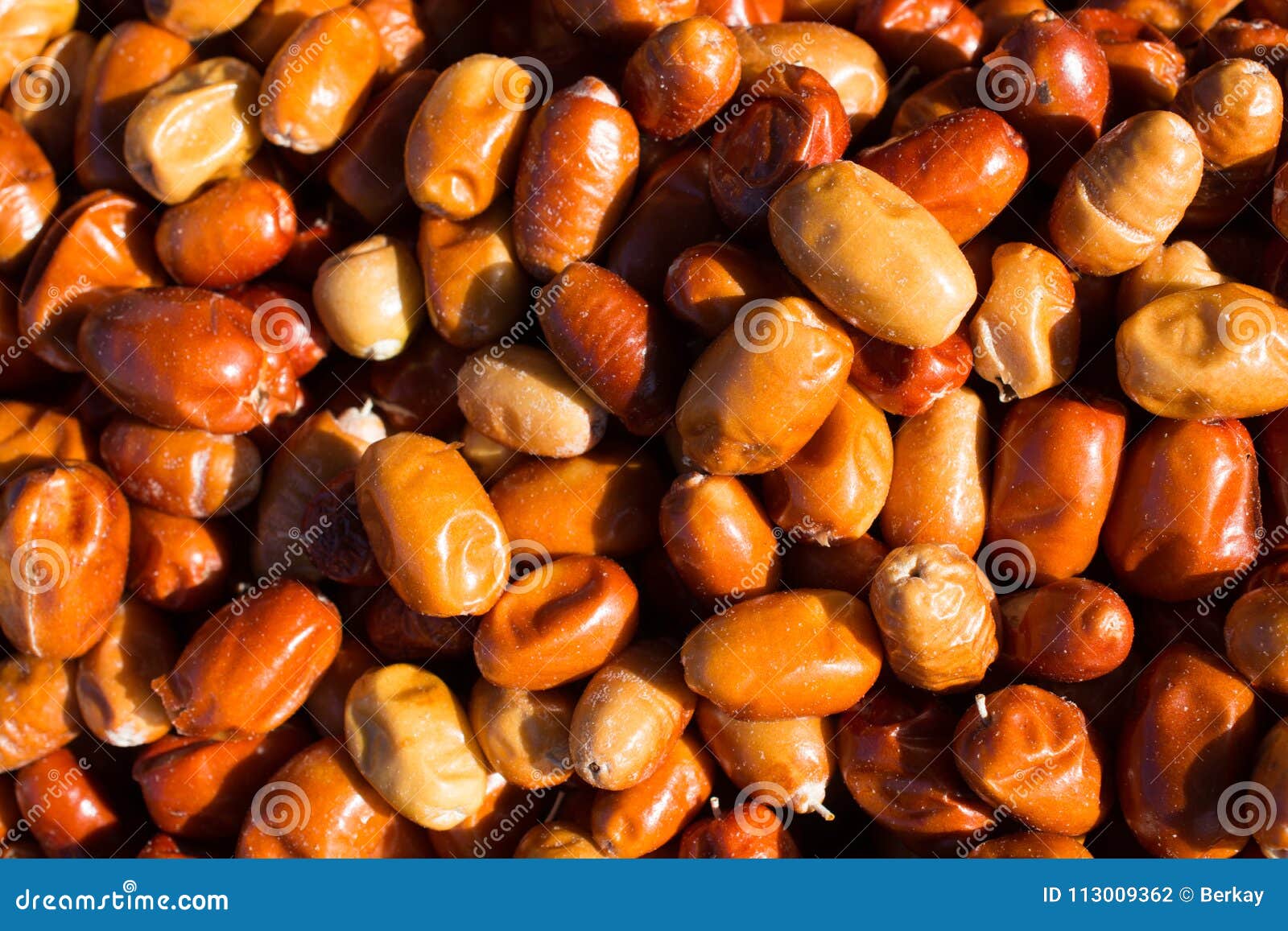 Oleaster, Silver Berry or Russian Olive Fruit Stock Photo Image of seasonal, eating 113009362