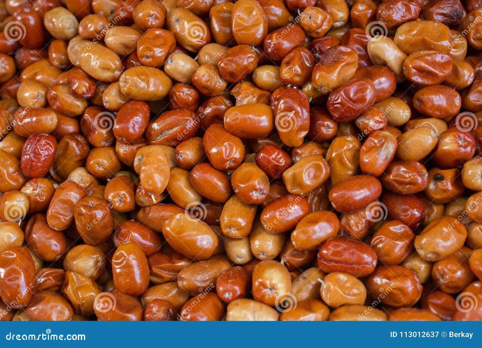 Oleaster, Silver Berry or Russian Olive Fruit Stock Image Image of