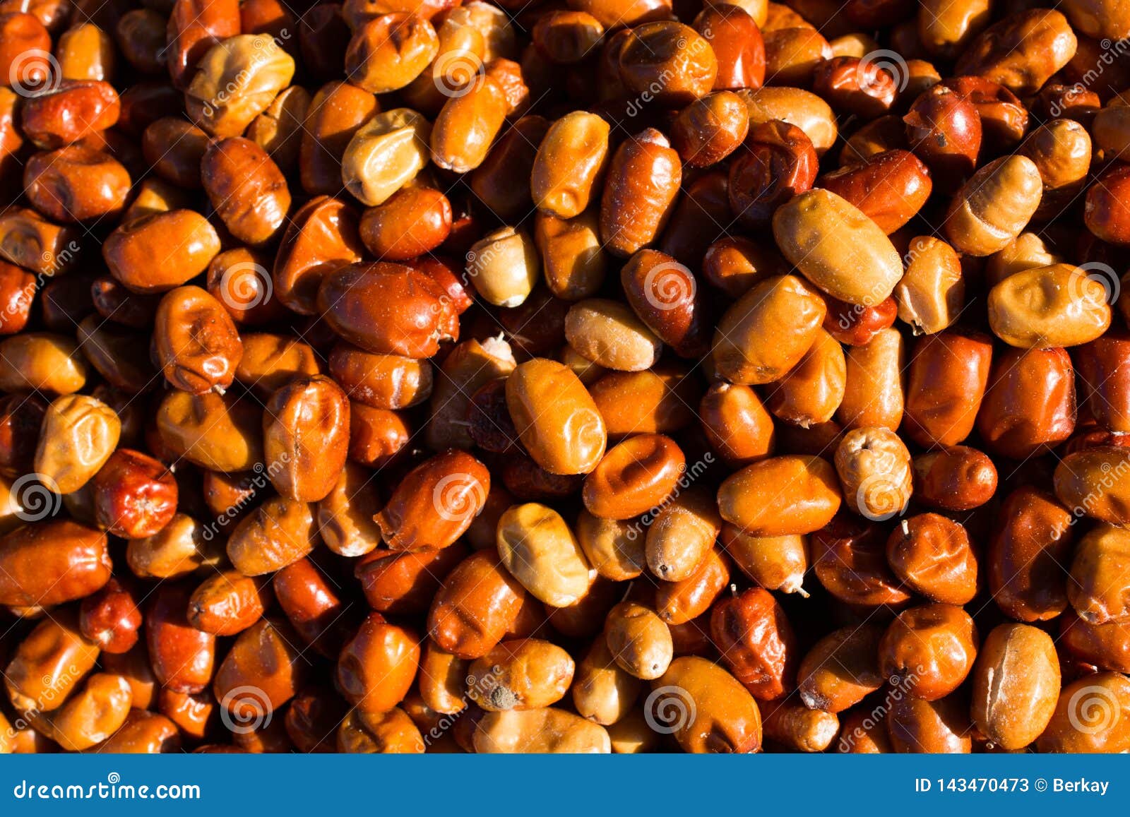 Oleaster, Silver Berry or Russian Olive Fruit Stock Image Image of