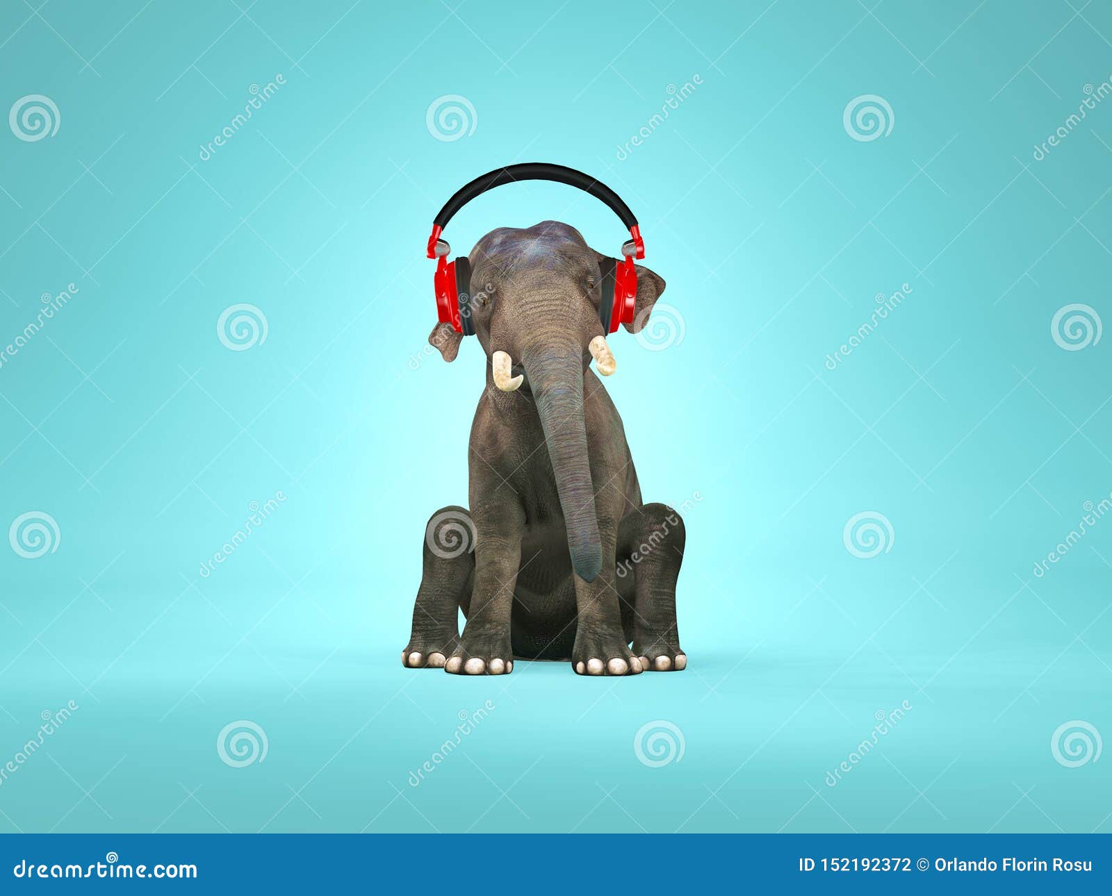Spoedig vermomming Voorspellen Olifant Het Luisteren Muziek Stock Illustratie - Illustration of savanne,  vrij: 152192372
