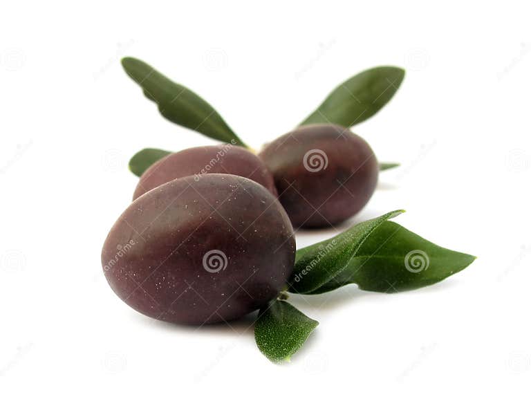 Olive Black with Green Leaves Stock Photo Image of ripe, white 10871190