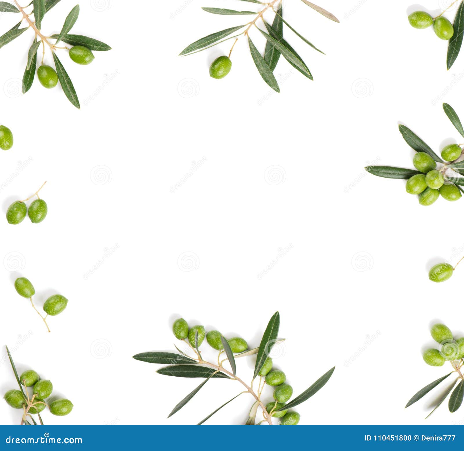 Olive Border on White. Top View. Stock Photo Image of close, isolated