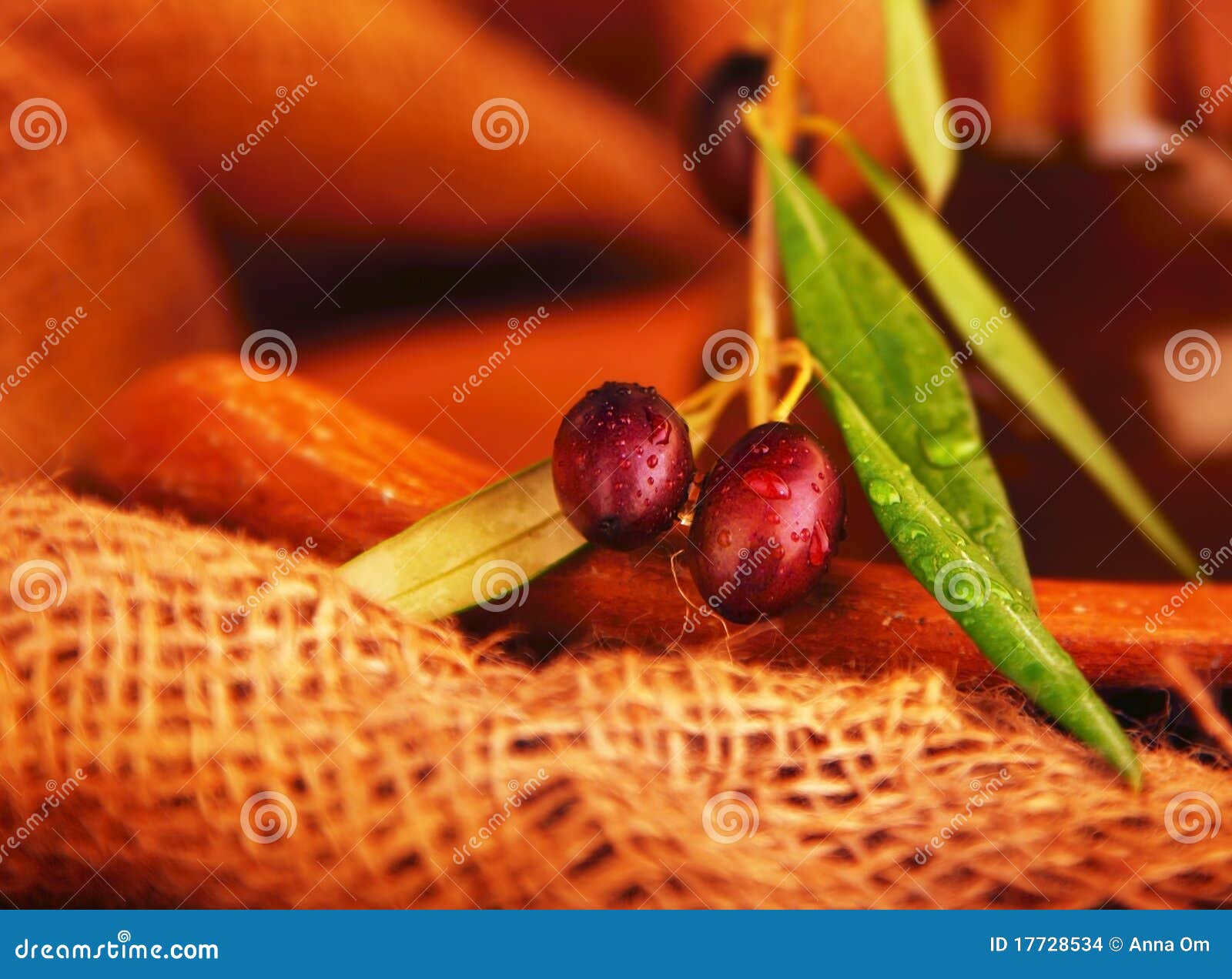 Olive branch stock photo. Image of mediterranean, dieting 17728534