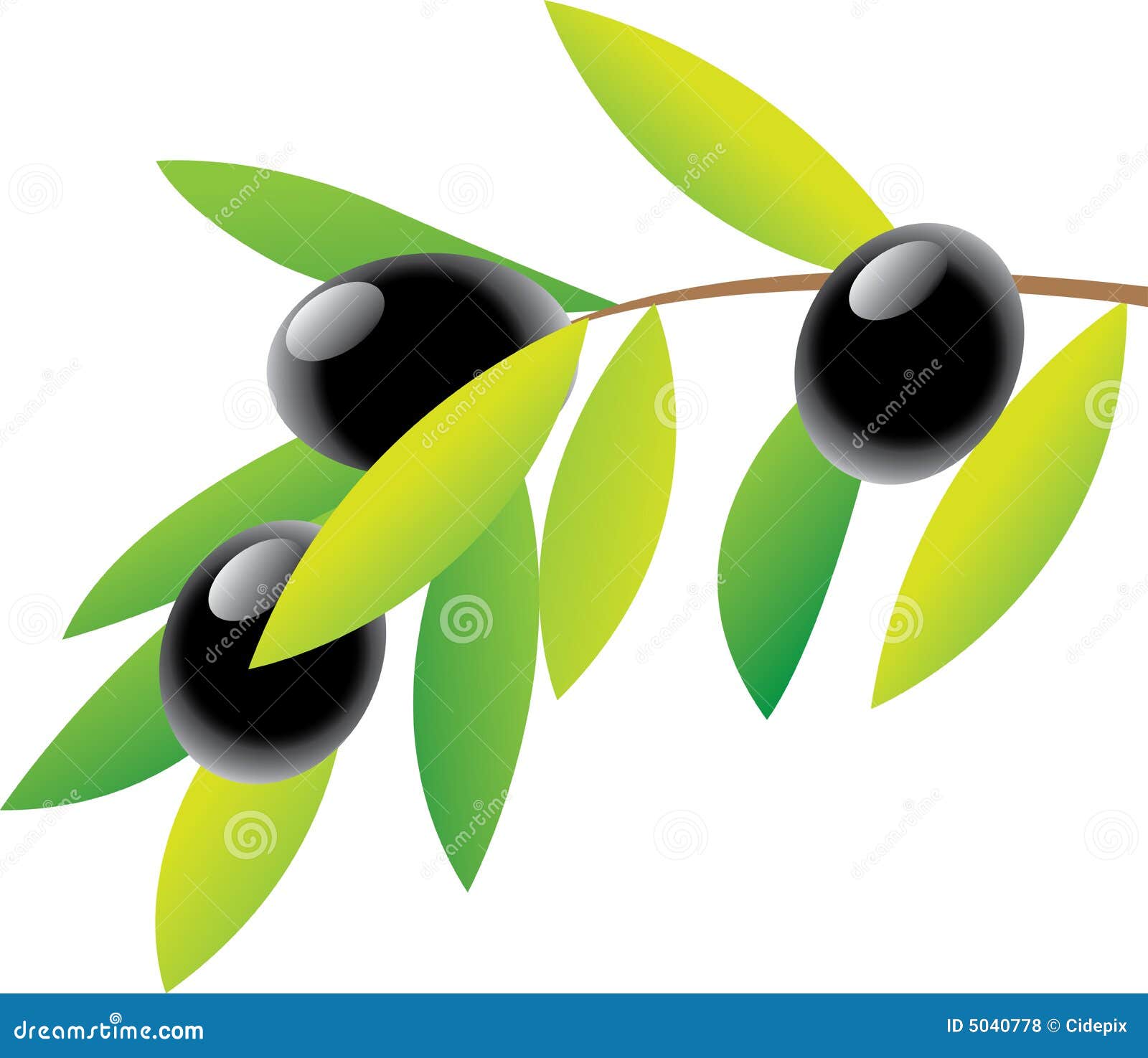 clipart gratuit olives - photo #22