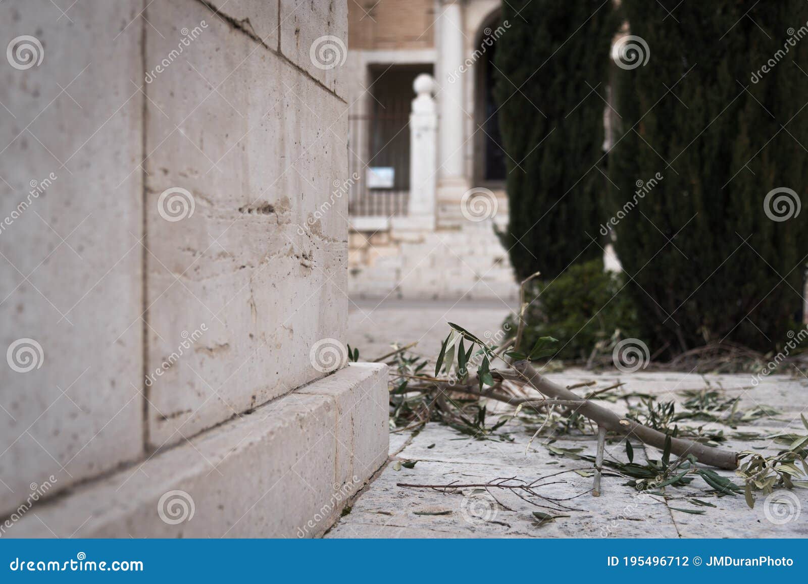olive branch on the ground during the religious celebration of holy week in colmenar de oreja, spain
