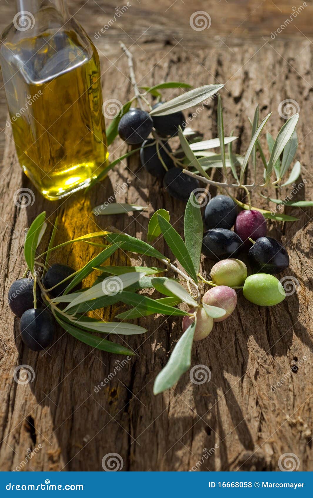 Olive branch with oil stock photo. Image of glass, country 16668058