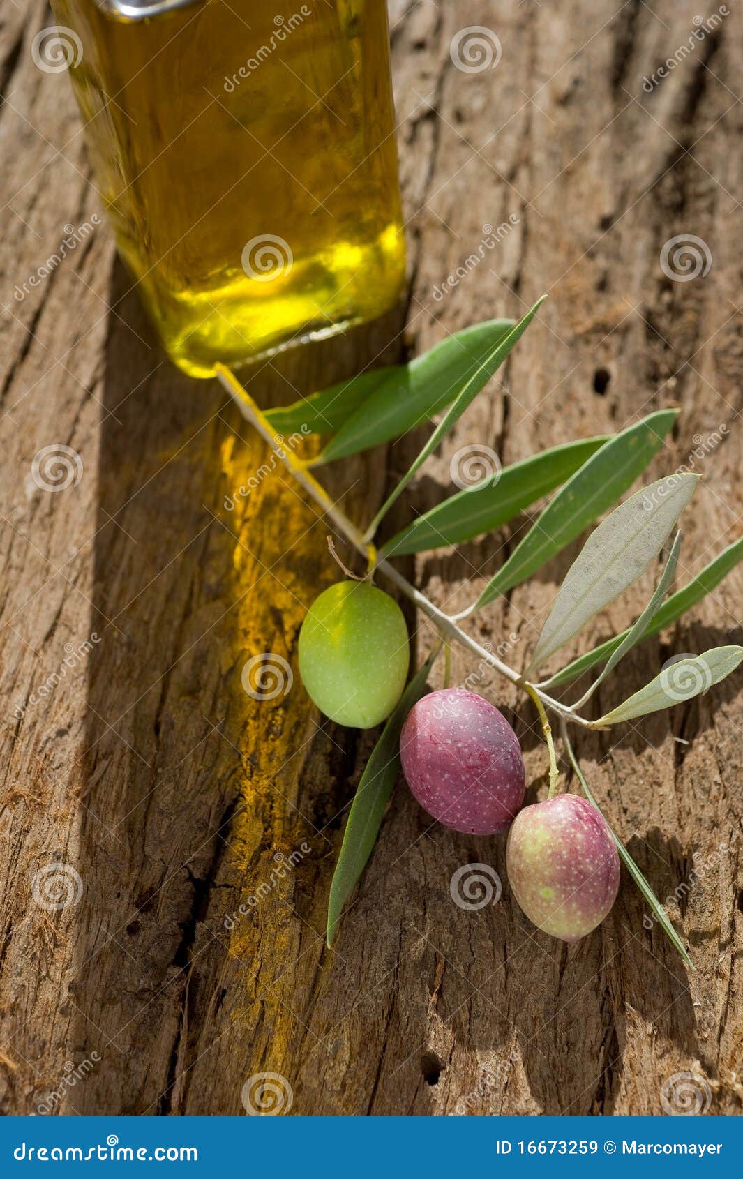 Olive branch with oil stock image. Image of spoon, style 16673259