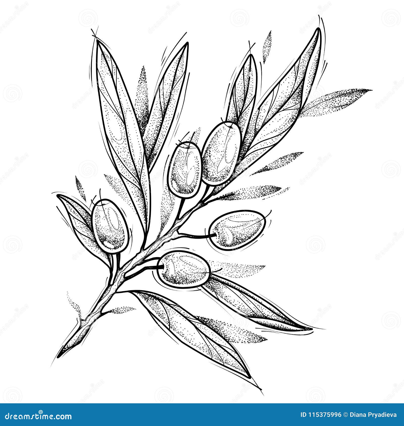 Olive Branch. Tattoo Design. Vector Illustration Isolated on White Stock Vector - Illustration of cuisine, white: 115375996