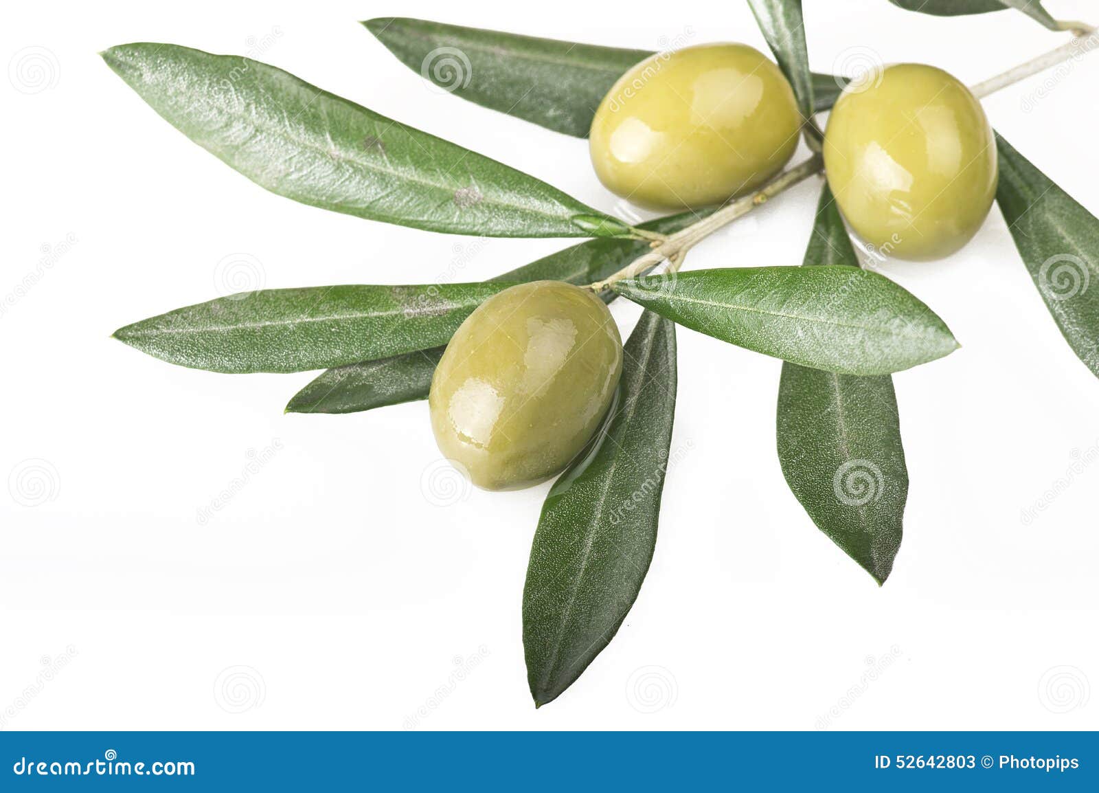 Olive branch stock image. Image of harvest, nature, nutrition 52642803