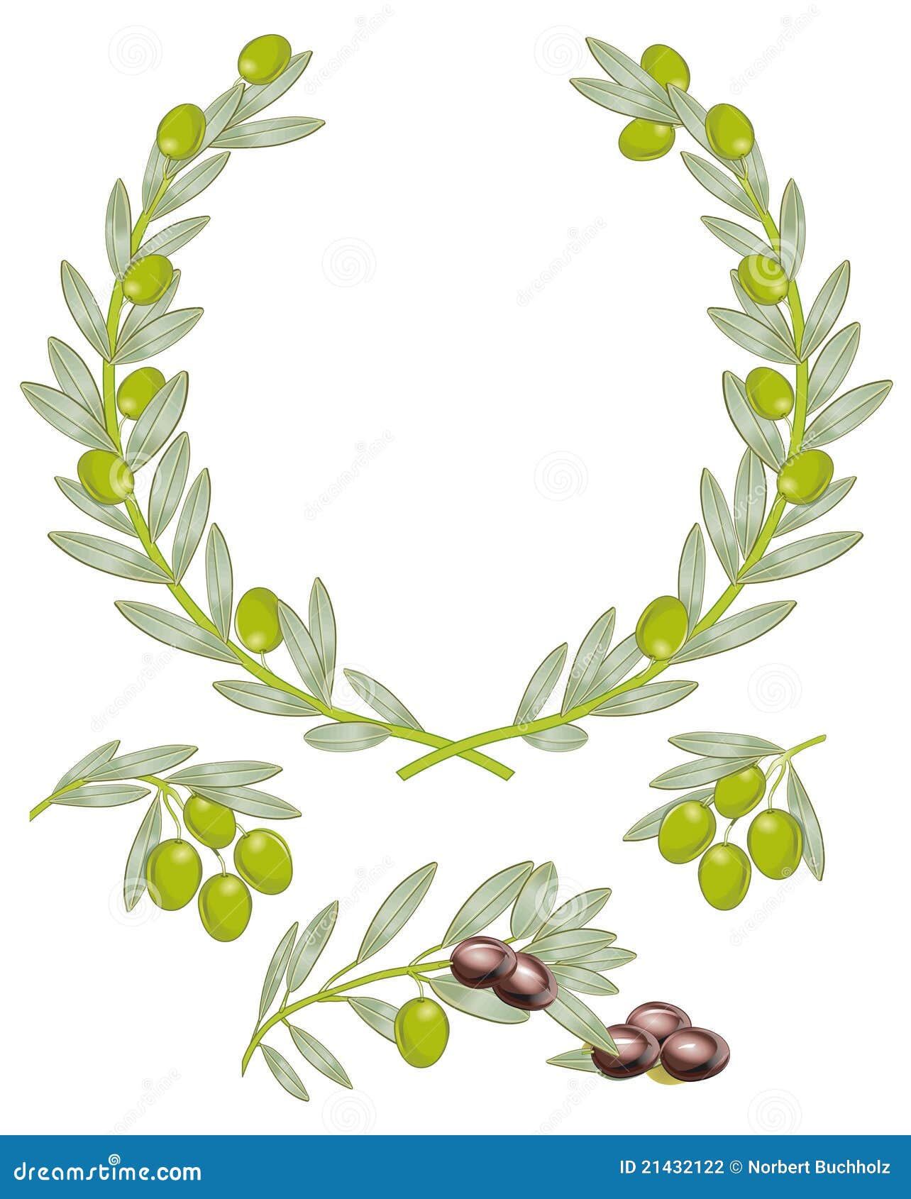 Olive crown stock vector. Illustration of crown, botanical 21432122