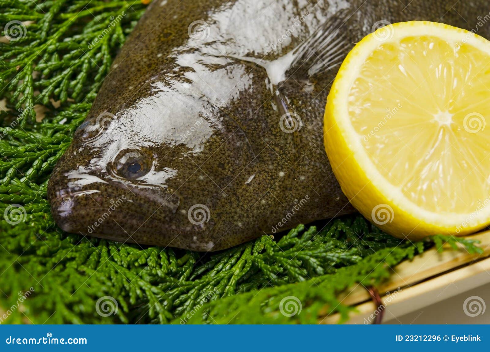 Olive flounder stock photo. Image of flounder, dinner 23212296