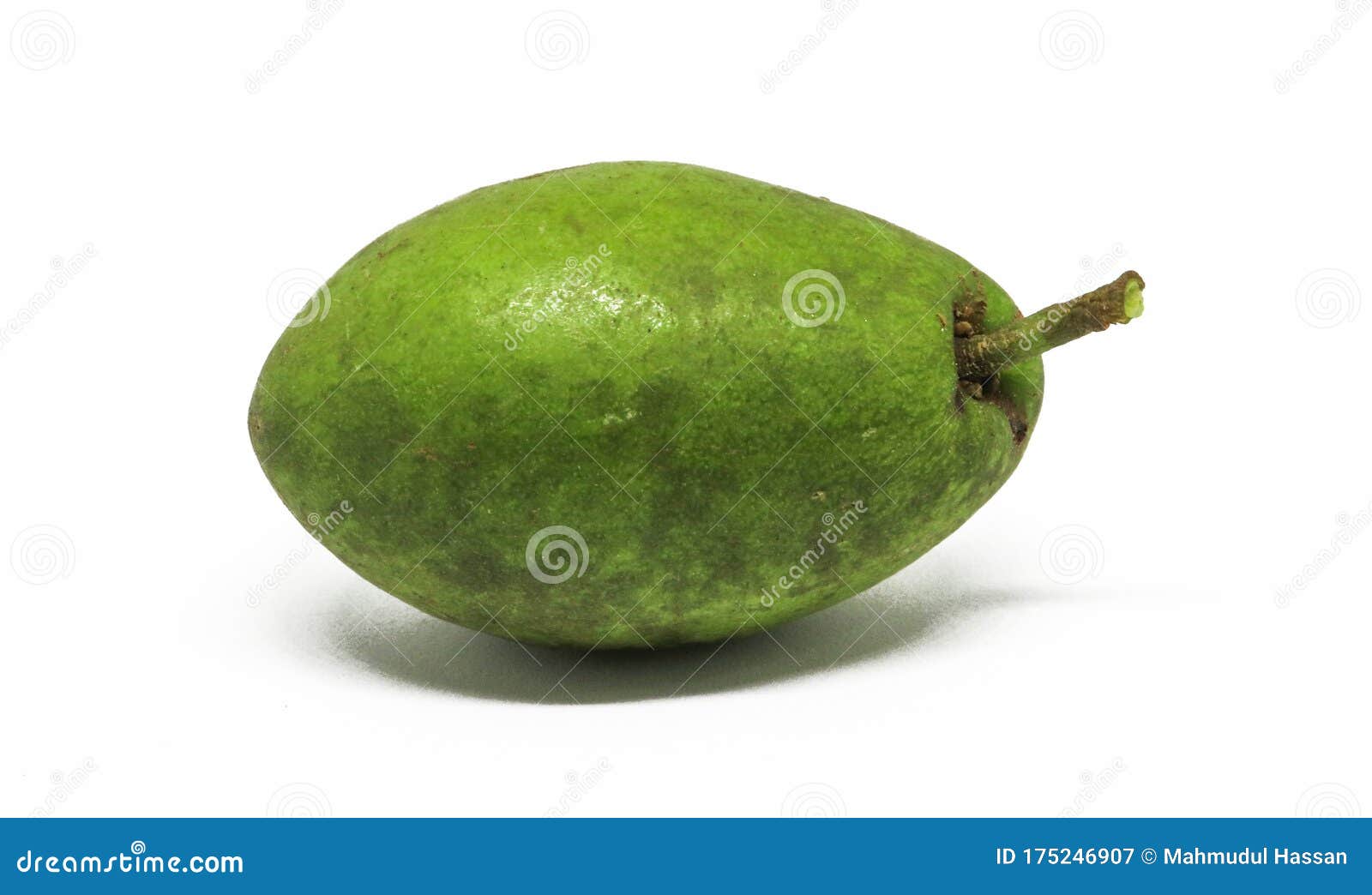 Olive Fruit Isolated on White Background. Green Olive Fruit Stock Image