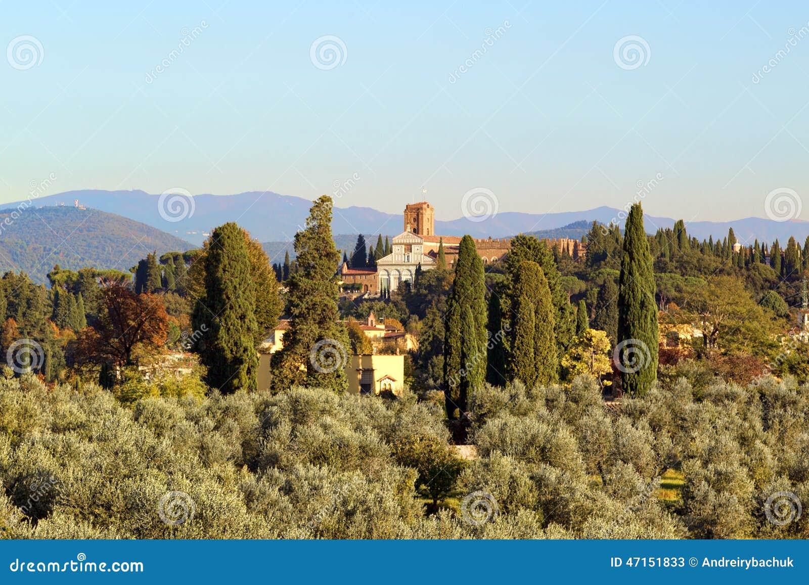 Olive Garden In Italy Stock Image Image Of Skies Seasons 47151833