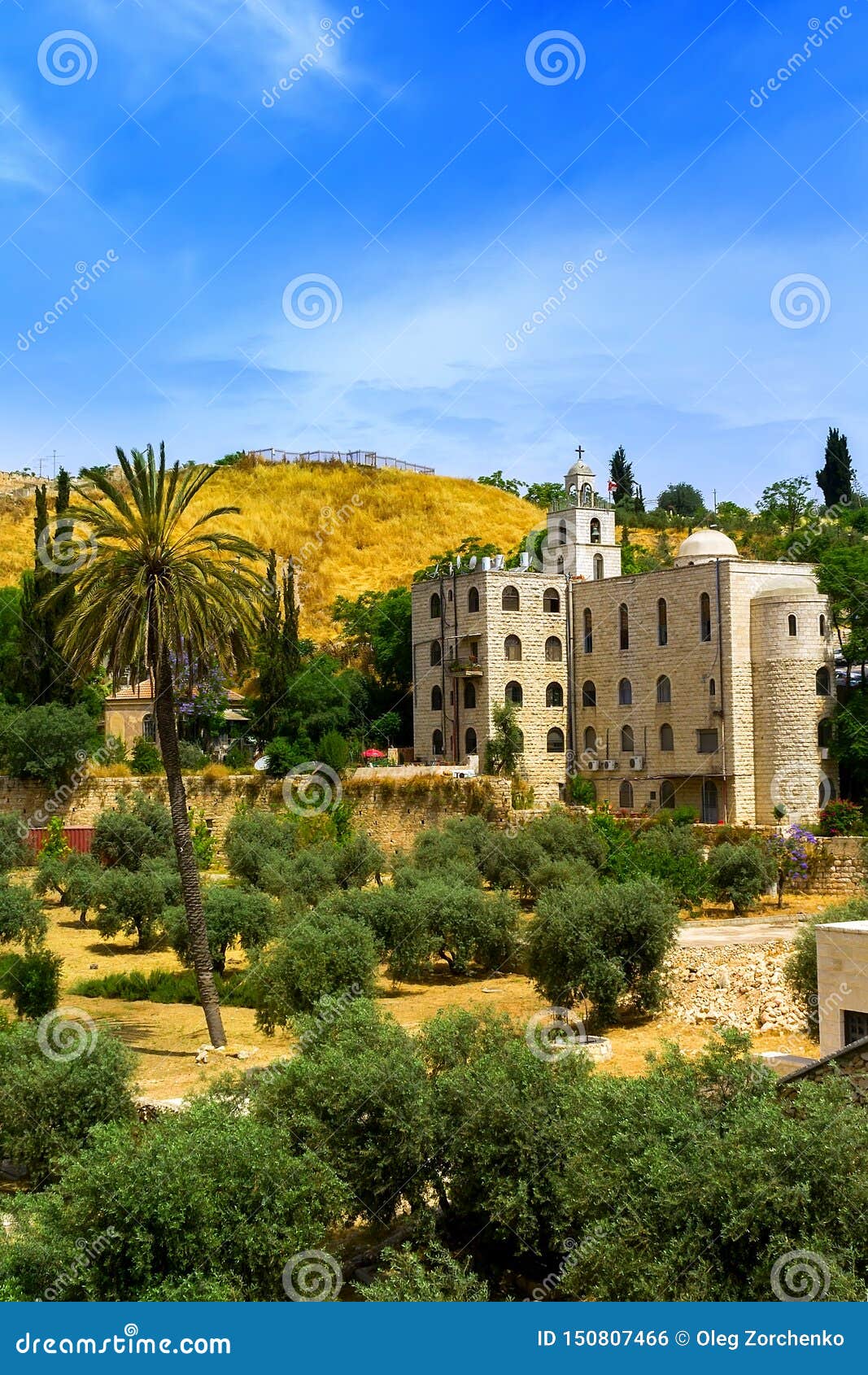 Olive Garden With Palm Trees Near The Orthodox Church In Jerusalem