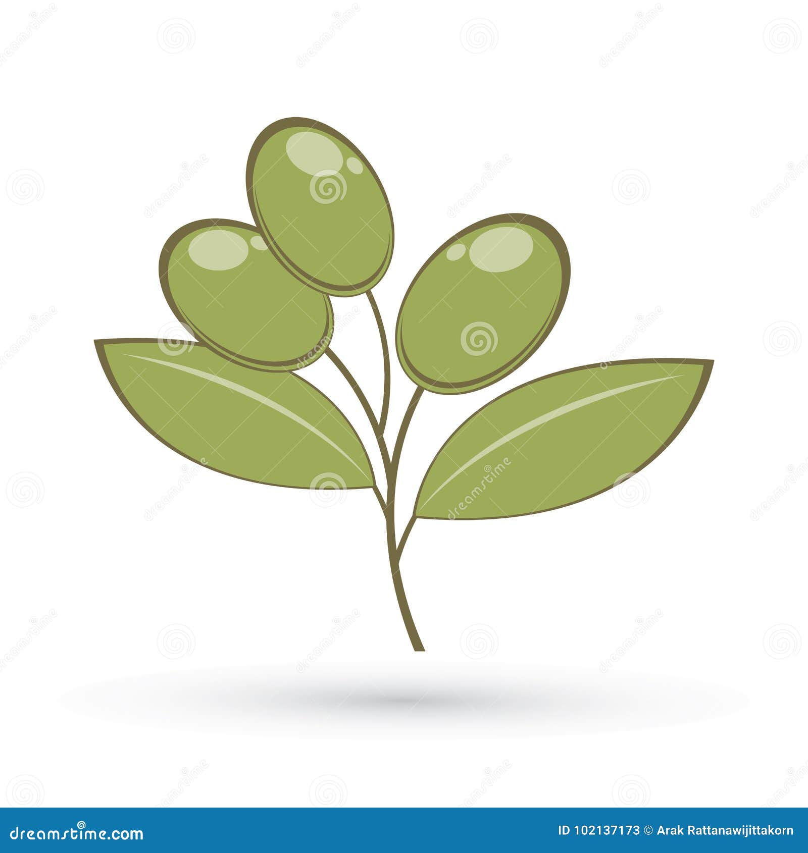 olive graphic 