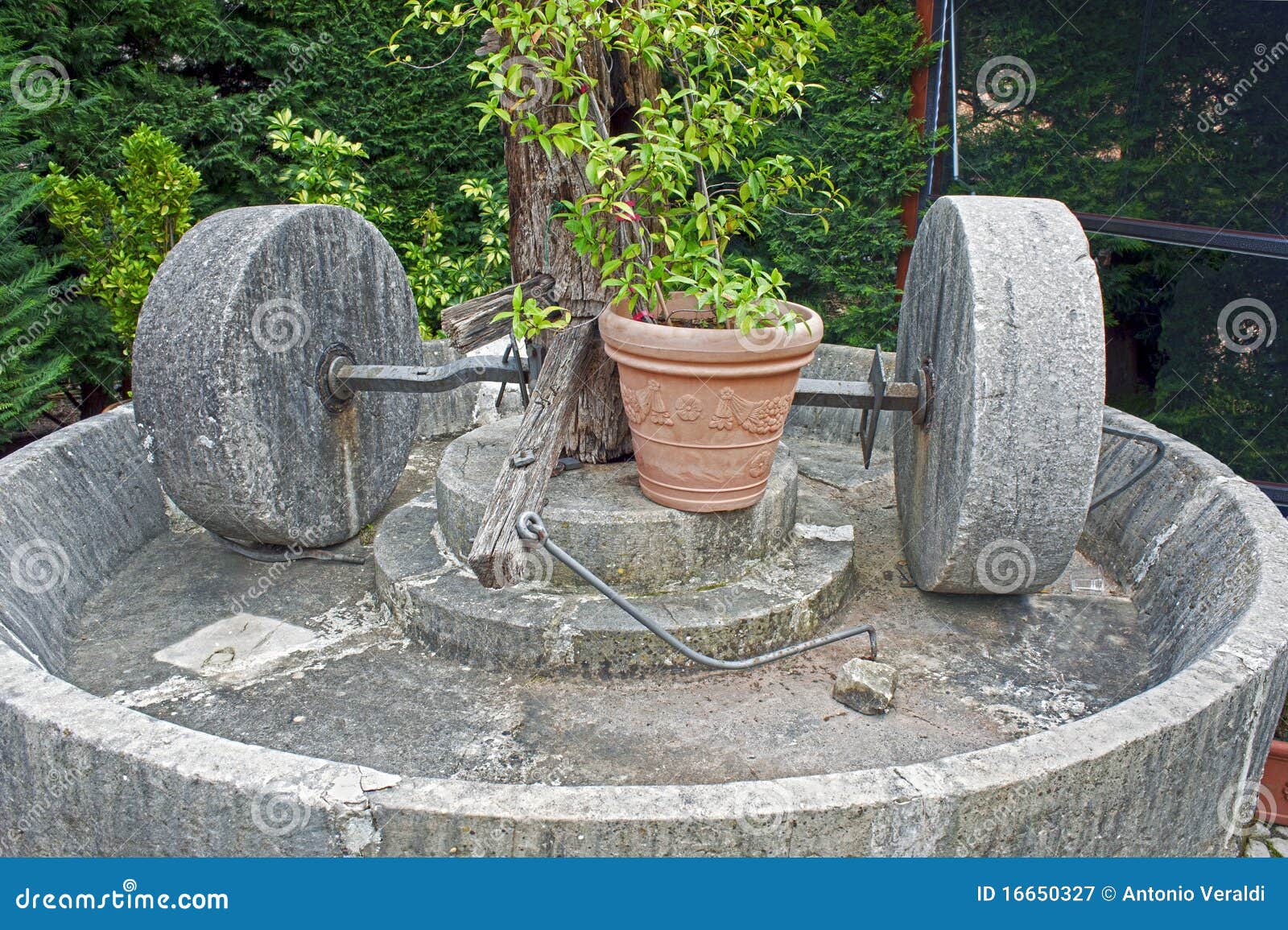 Olive mill stock image. Image of farmer, ancient, grinder 16650327