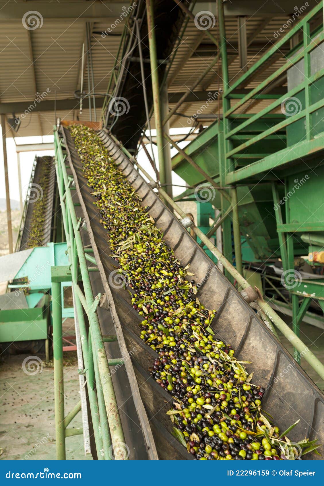 Olive mill conveyor belts stock image. Image of product 22296159